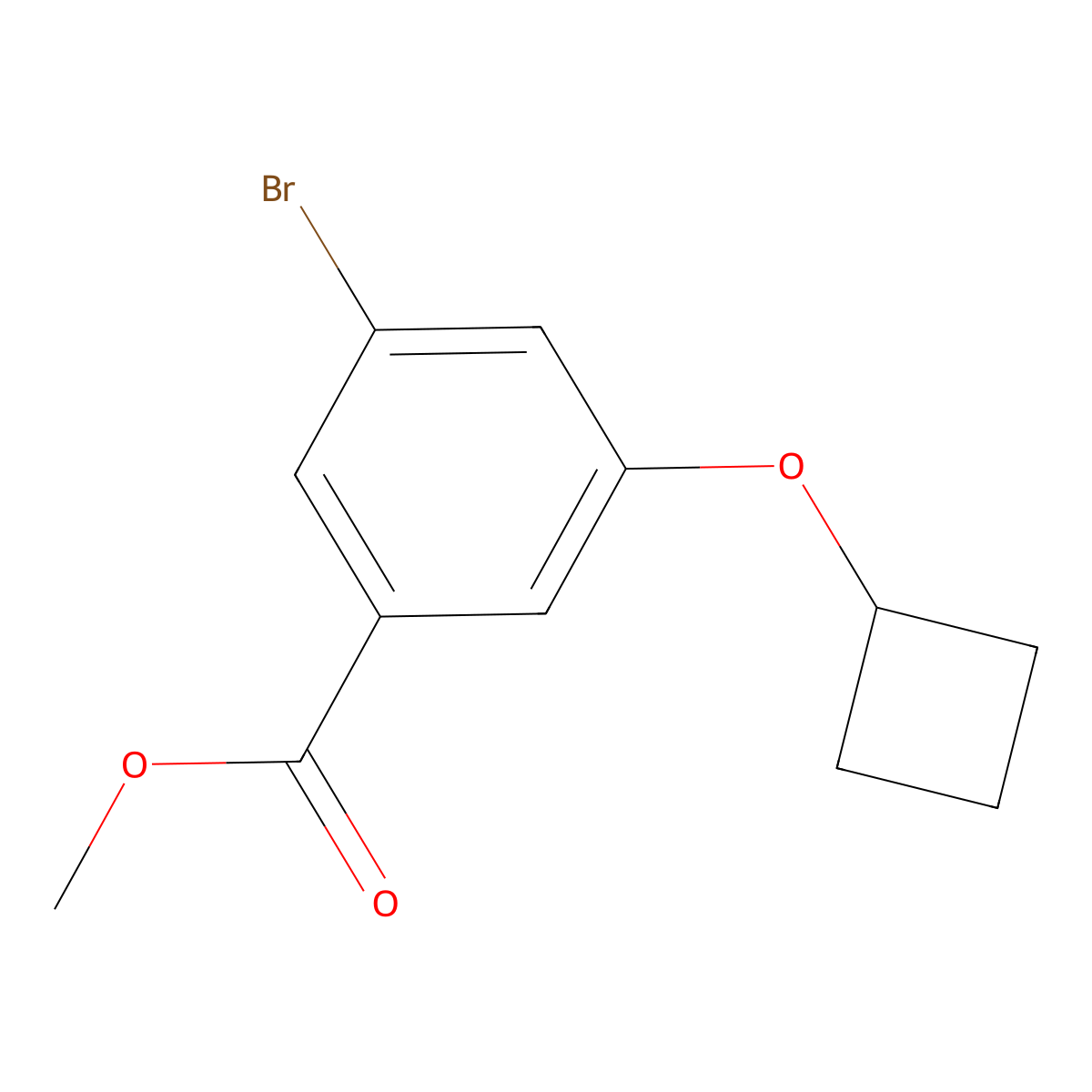 Methyl 3-bromo-5-cyclobutoxybenzoate molecular structure, CAS 2102411-82-3