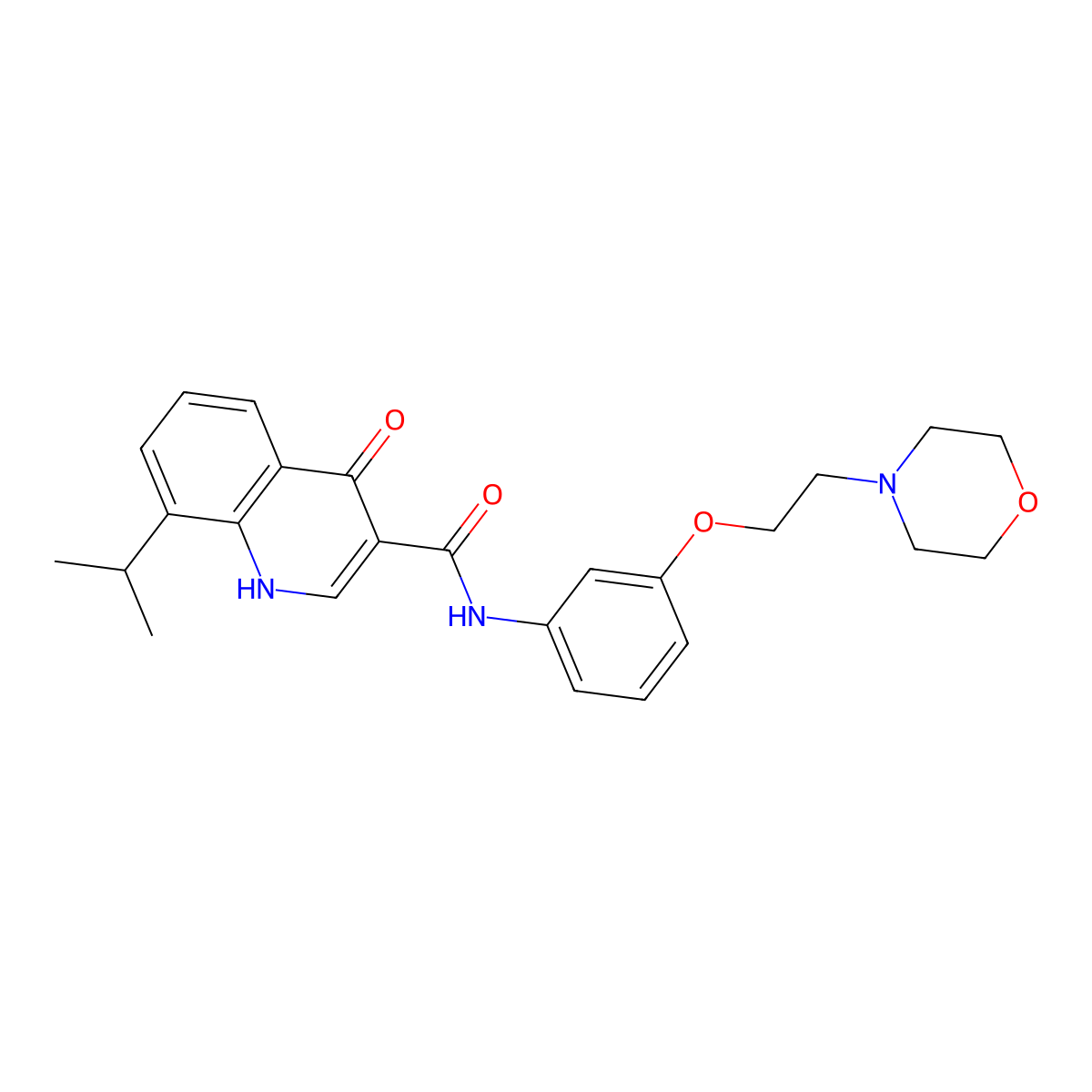 8-Isopropyl-N-(3-(2-morpholinoethoxy)phenyl)-4-oxo-1,4-dihydroquinoline-3-carboxamide molecular structure, CAS 2109393-29-3