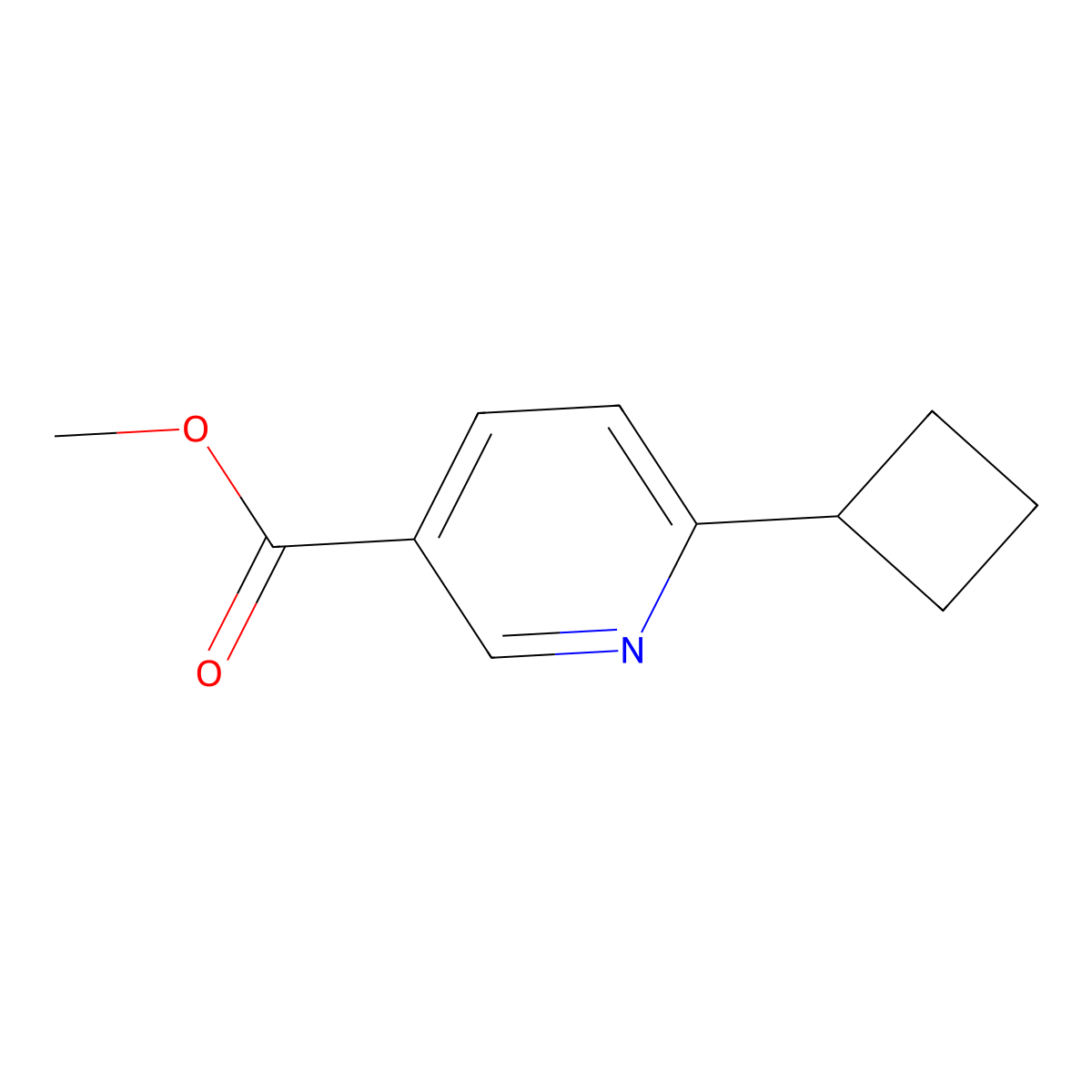 Methyl 6-cyclobutylpyridine-3-carboxylate molecular structure, CAS 2109871-68-1