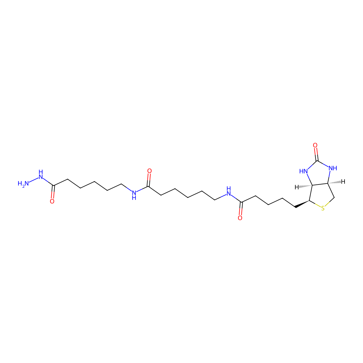 Biotin-XX hydrazide molecular structure, CAS 211237-33-1