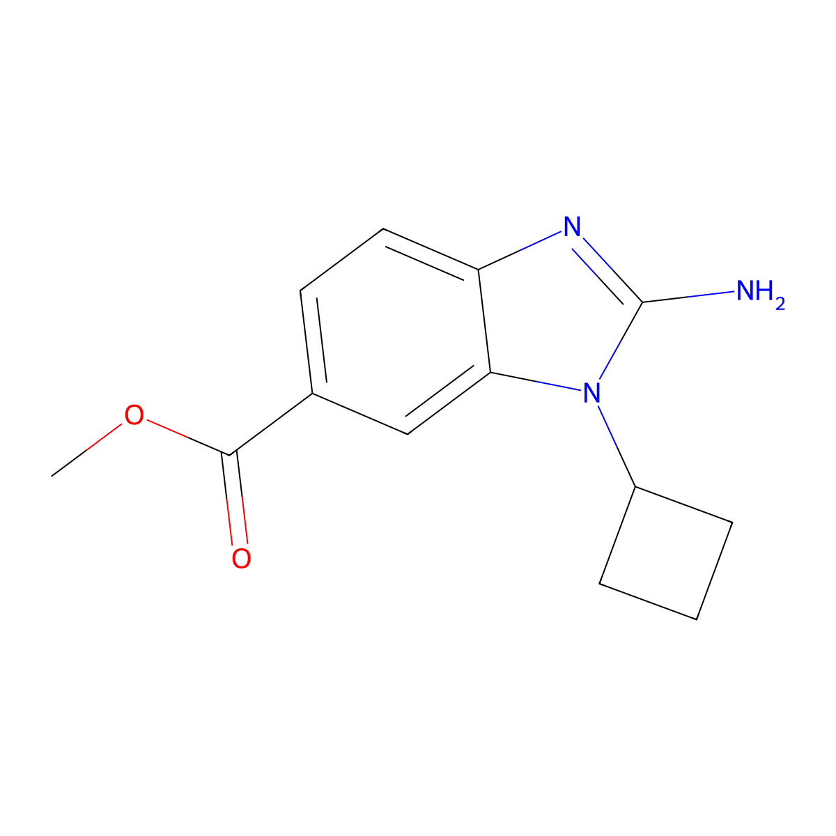 Methyl 2-amino-1-cyclobutyl-1H-1,3-benzodiazole-6-carboxylate molecular structure, CAS 2115128-62-4