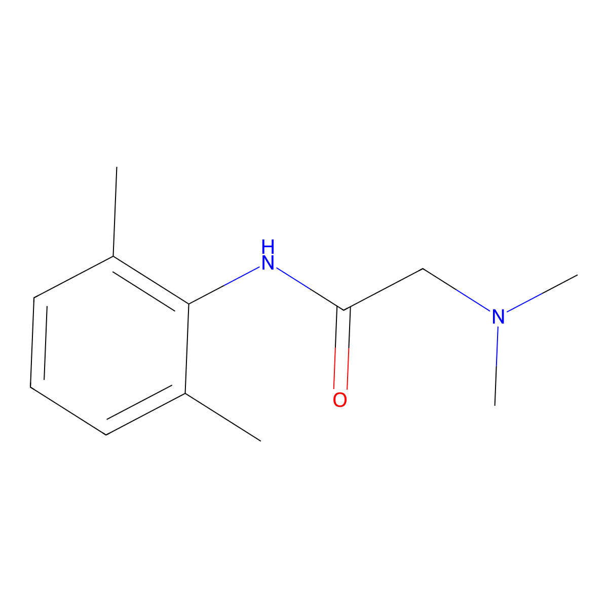 2-(dimethylamino)-N-(2,6-dimethylphenyl)acetamide molecular structure, CAS 21236-54-4