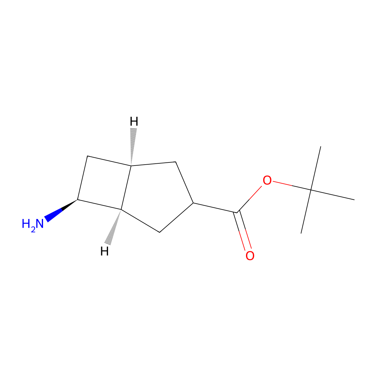 rac-tert-butyl (1R,5R,6S)-6-aminobicyclo[3.2.0]heptane-3-carboxylate molecular structure, CAS 2137439-83-7