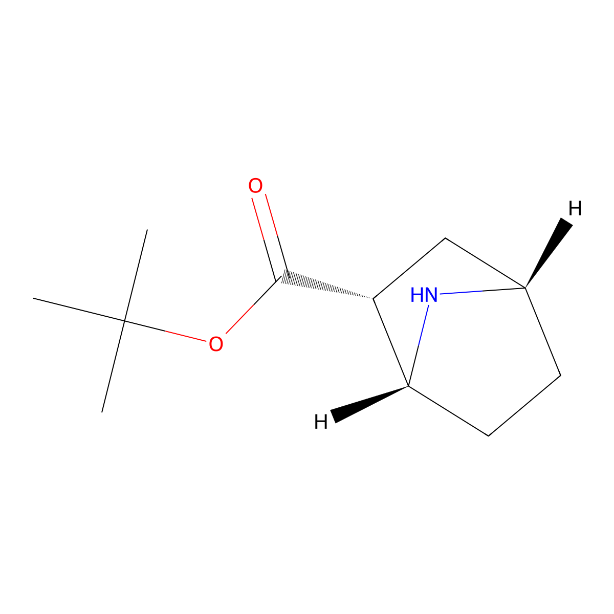 rac-tert-butyl (1R,2R,4S)-7-azabicyclo[2.2.1]heptane-2-carboxylate molecular structure, CAS 2137612-05-4