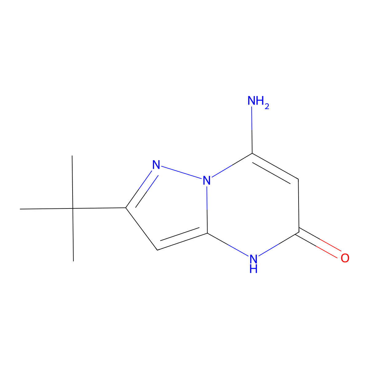 7-amino-2-tert-butyl-4H,5H-pyrazolo[1,5-a]pyrimidin-5-one molecular structure, CAS 2137991-89-8