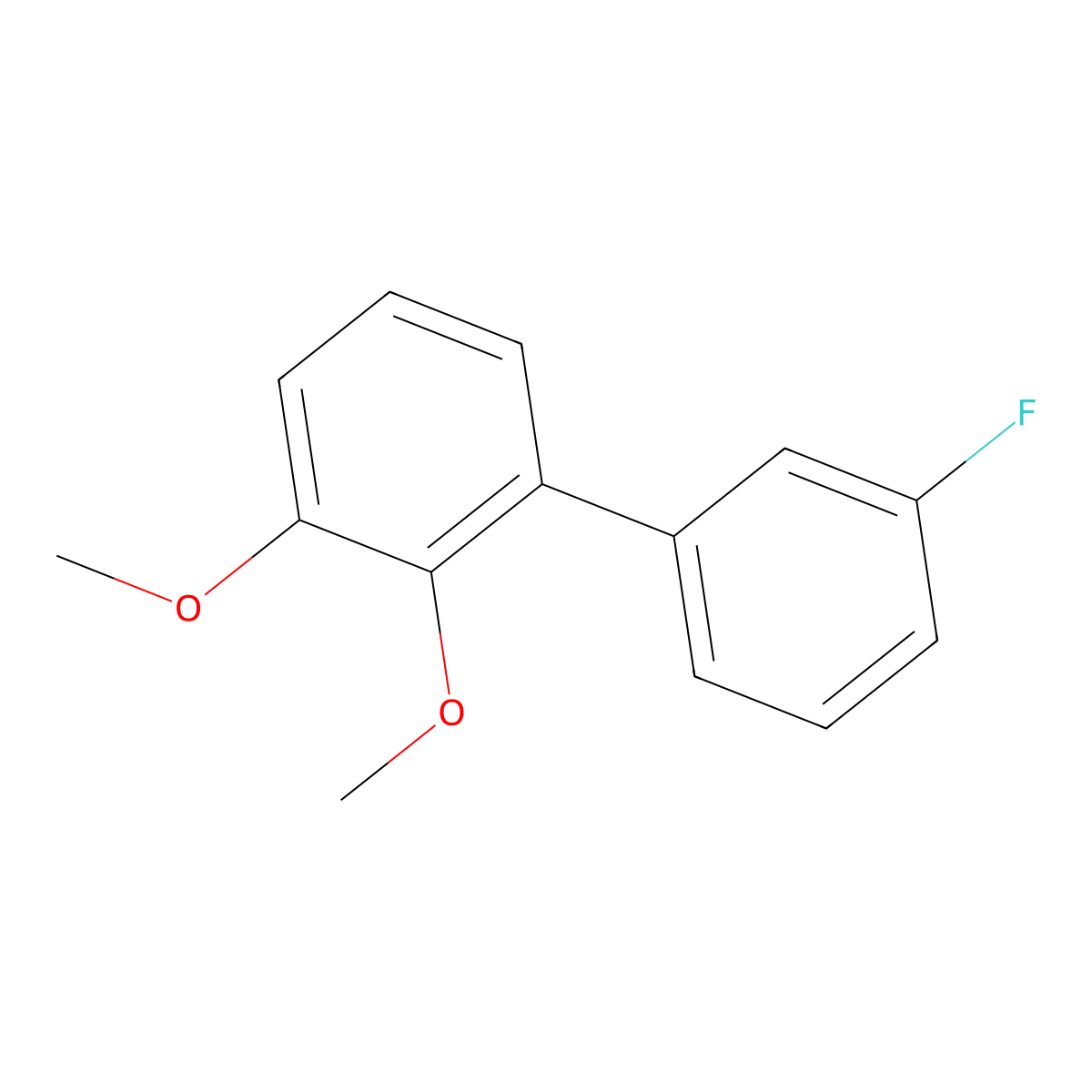 1-(3-Fluorophenyl)-2,3-dimethoxybenzene molecular structure, CAS 2138369-85-2