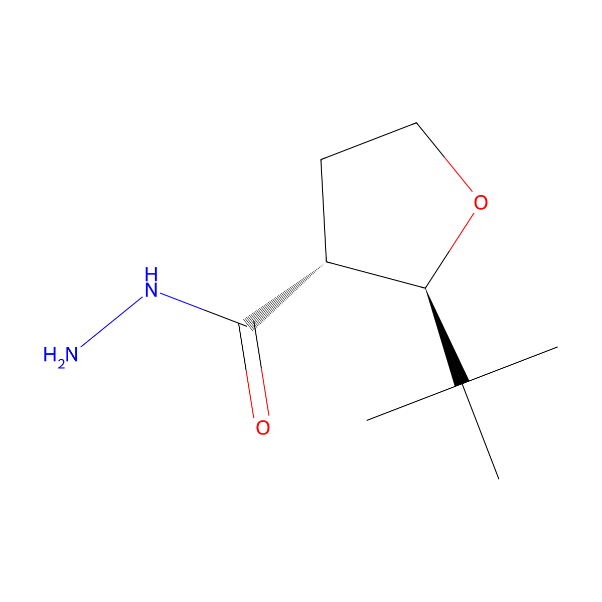 rac-(2R,3R)-2-tert-butyloxolane-3-carbohydrazide molecular structure, CAS 2140262-57-1