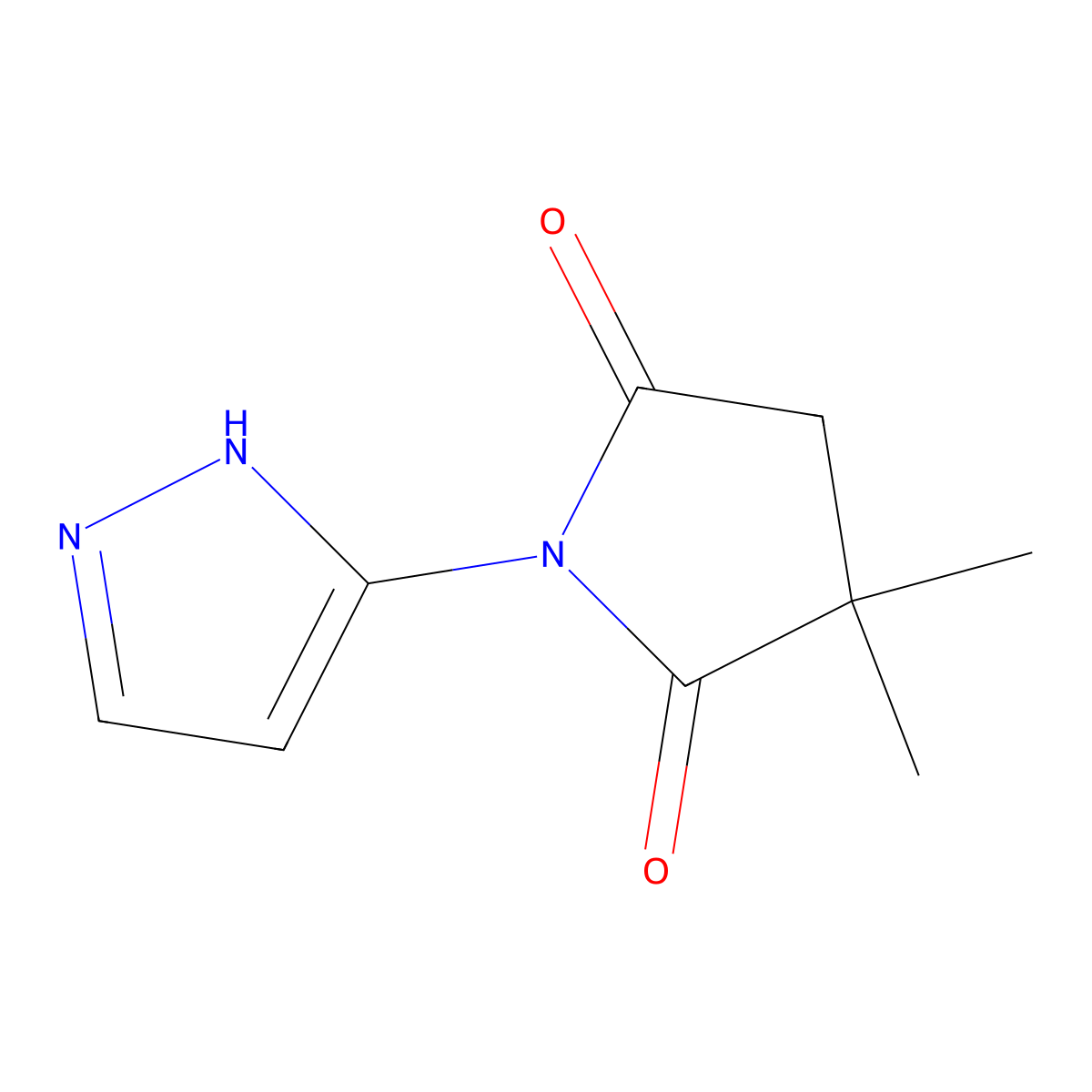 3,3-dimethyl-1-(1H-pyrazol-5-yl)pyrrolidine-2,5-dione molecular structure, CAS 2148176-22-9