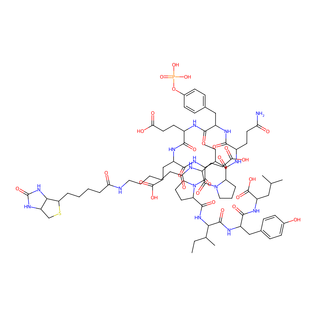2-[[2-[[2-[[1-[2-[[2-[[2-[[2-[[5-Amino-2-[[1-[4-carboxy-2-[6-[5-(2-oxo-1,3,3a,4,6,6a-hexahydrothieno[3,4-d]imidazol-4-yl)pentanoylamino]hexanoylamino]butanoyl]pyrrolidine-2-carbonyl]amino]-5-oxopentanoyl]amino]-3-(4-phosphonooxyphenyl)propanoyl]amino]-4-carboxybutanoyl]amino]-4-carboxybutanoyl]amino]-3-methylpentanoyl]pyrrolidine-2-carbonyl]amino]-3-methylpentanoyl]amino]-3-(4-hydroxyphenyl)propanoyl]amino]-4-methylpentanoic acid molecular structure, CAS 215876-01-0