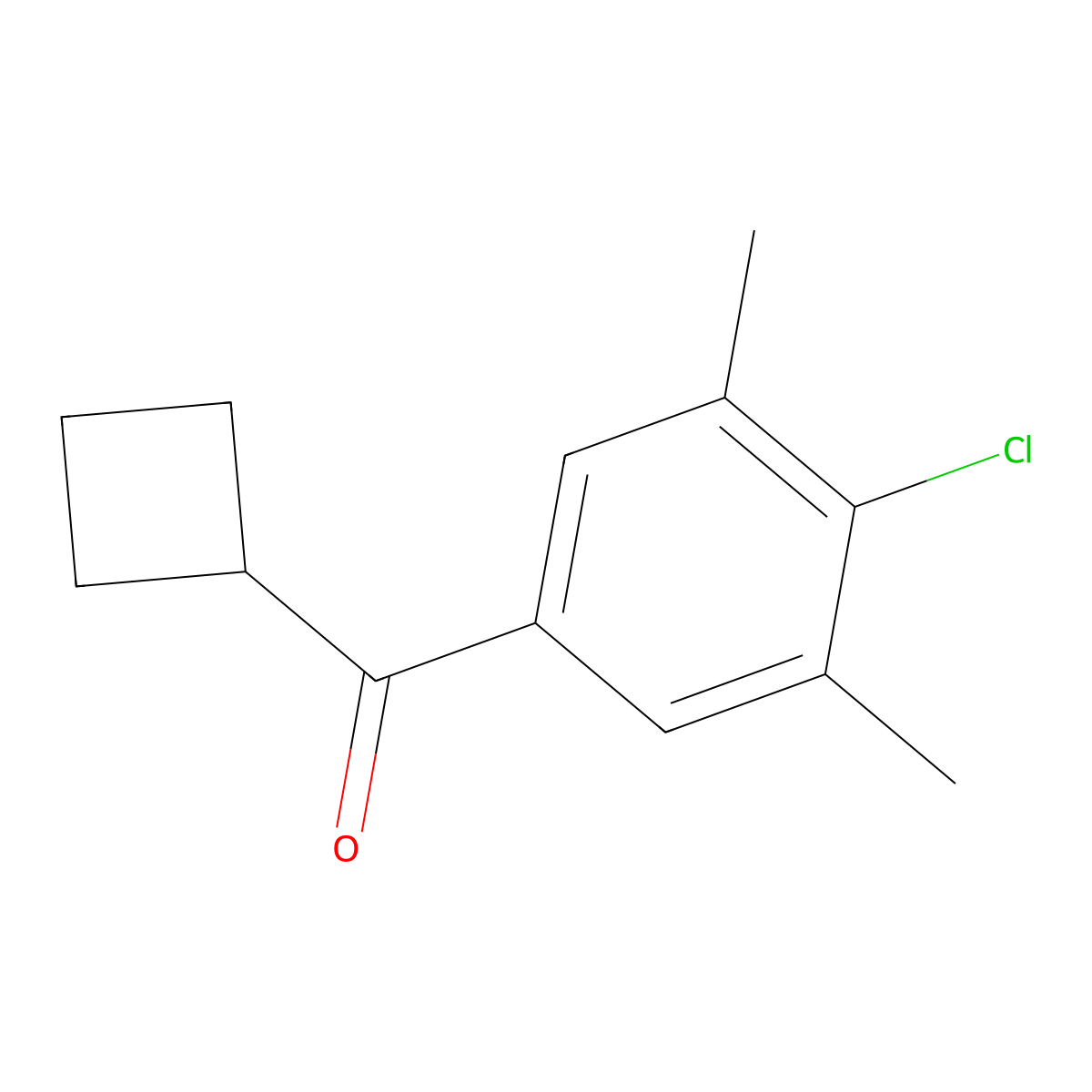 (4-Chloro-3,5-dimethylphenyl)(cyclobutyl)methanone molecular structure, CAS 2167670-31-5