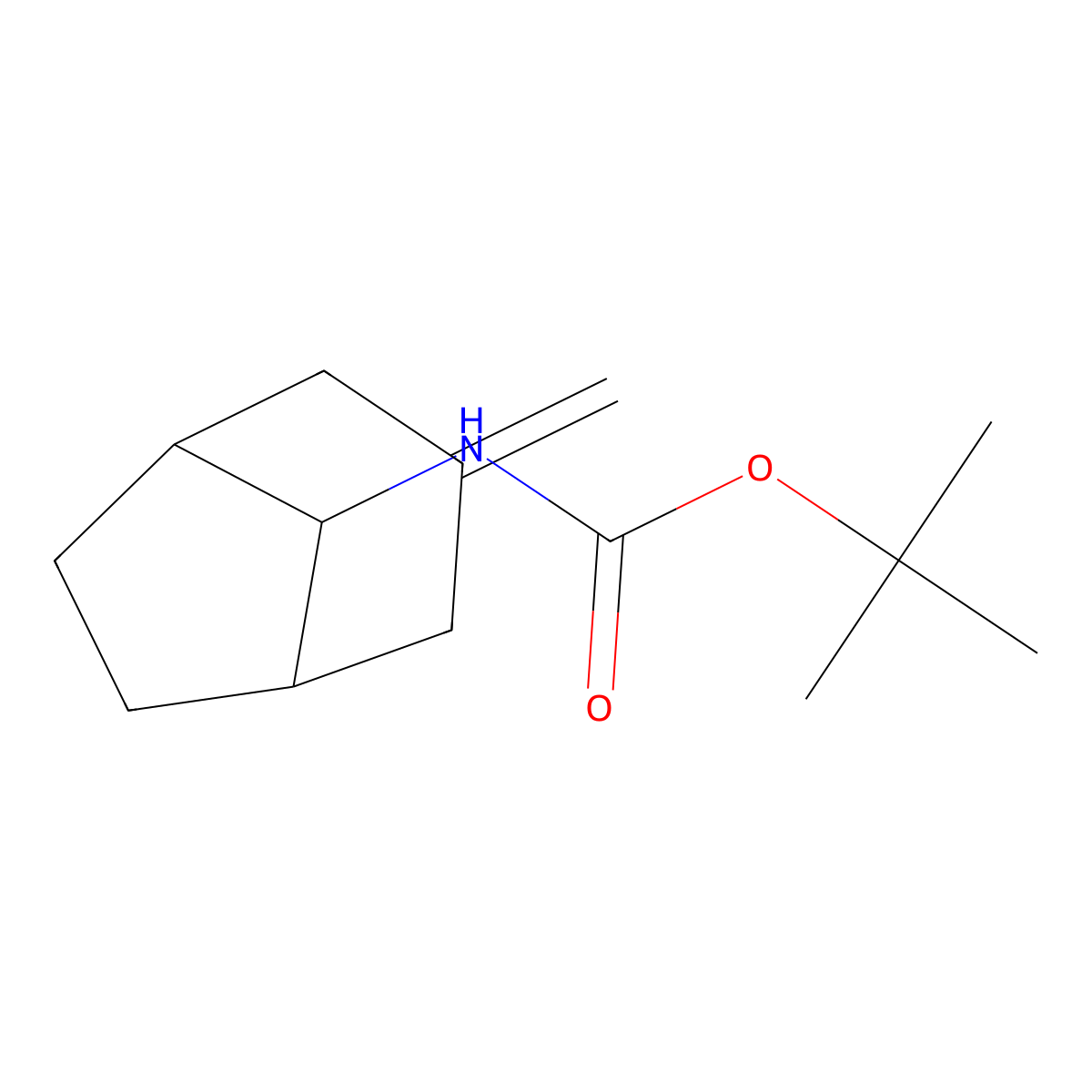 tert-butyl N-{3-methylidenebicyclo[3.2.1]octan-8-yl}carbamate molecular structure, CAS 2168116-64-9