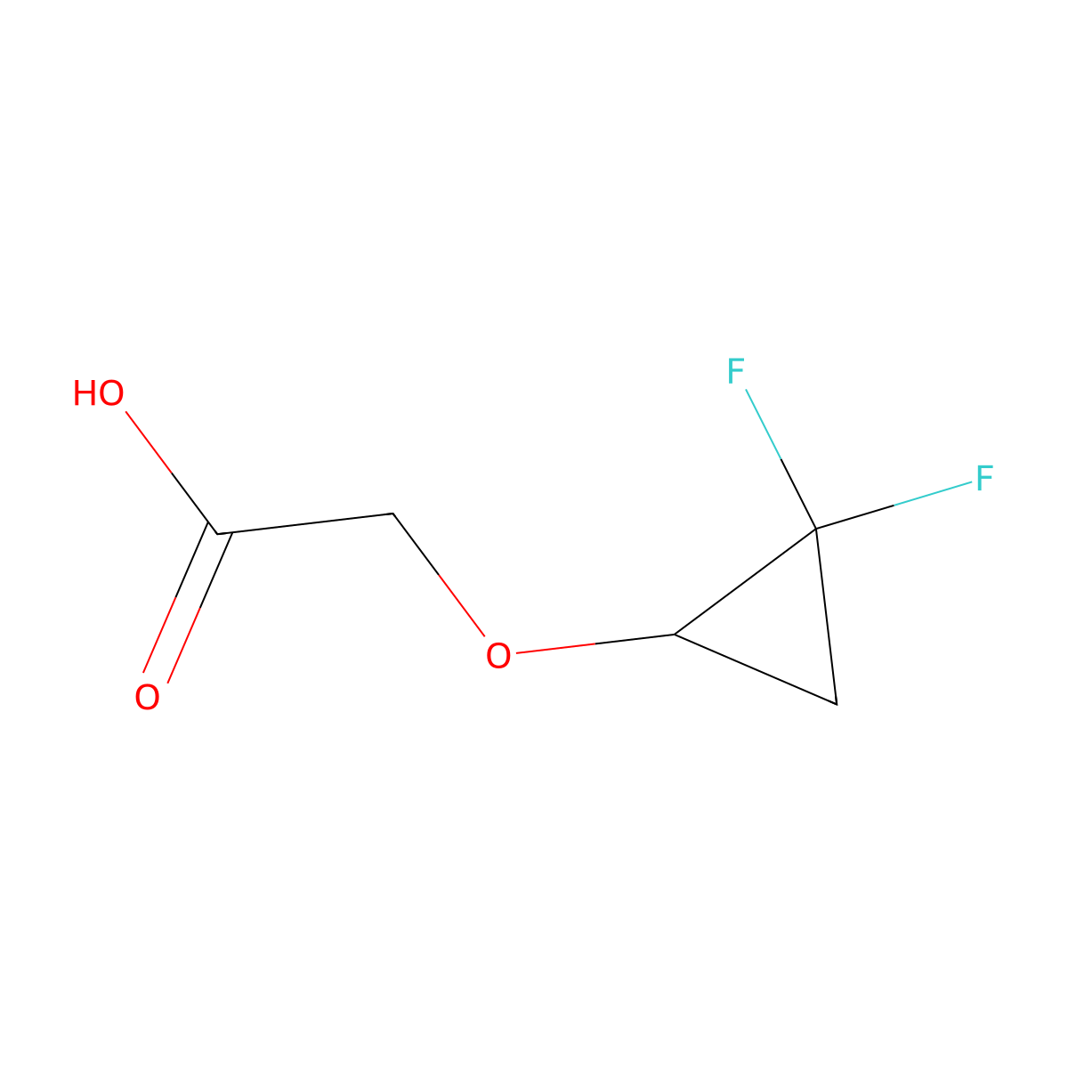 2-(2,2-Difluorocyclopropoxy)aceticacid molecular structure, CAS 2168634-48-6