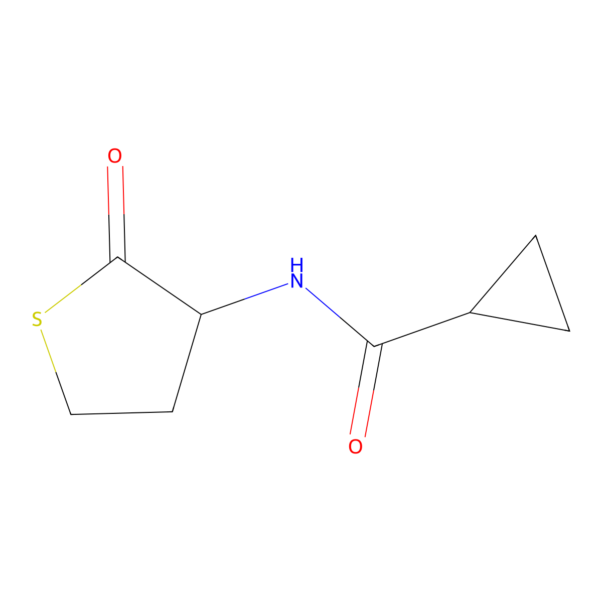 N-(2-oxothiolan-3-yl)cyclopropanecarboxamide molecular structure, CAS 2168756-38-3