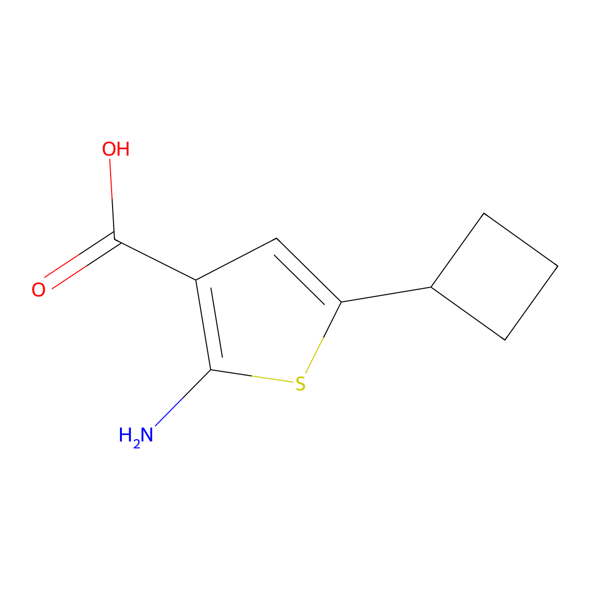2-Amino-5-cyclobutylthiophene-3-carboxylic acid molecular structure, CAS 2169192-09-8