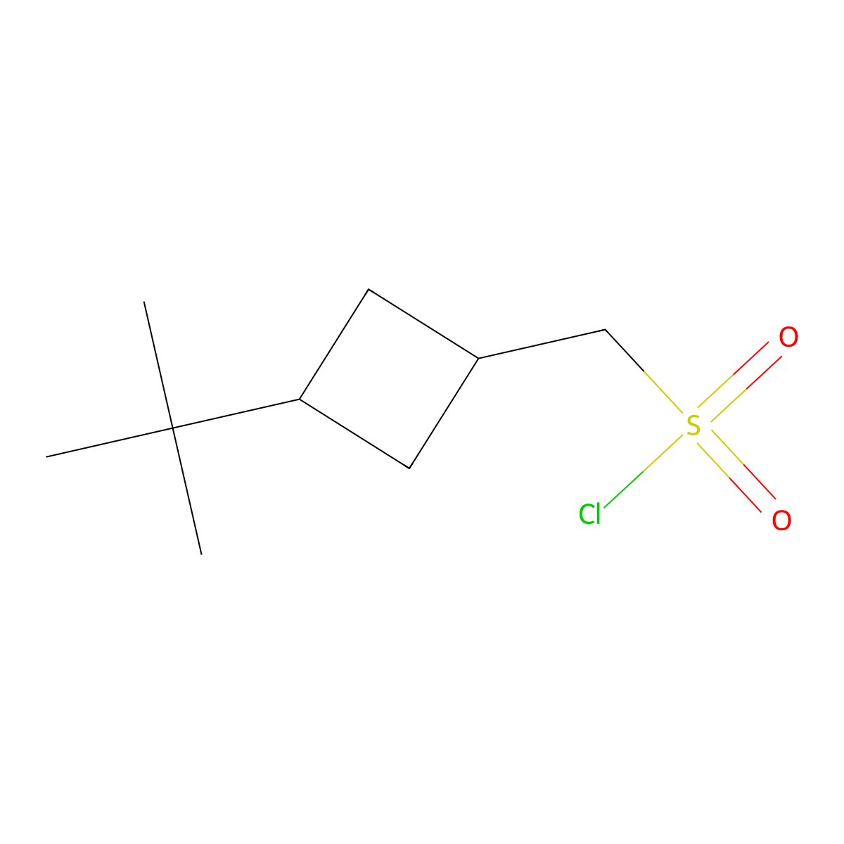 (3-Tert-butylcyclobutyl)methanesulfonyl chloride molecular structure, CAS 2169608-39-1