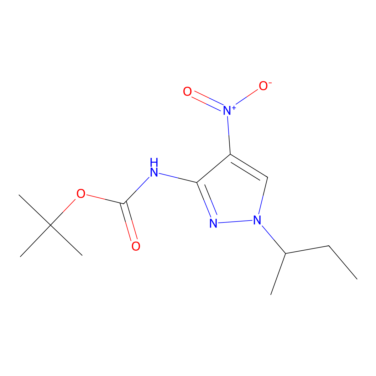 tert-butyl (1-sec-butyl-4-nitro-1H-pyrazol-3-yl)carbamate molecular structure, CAS 2171317-18-1