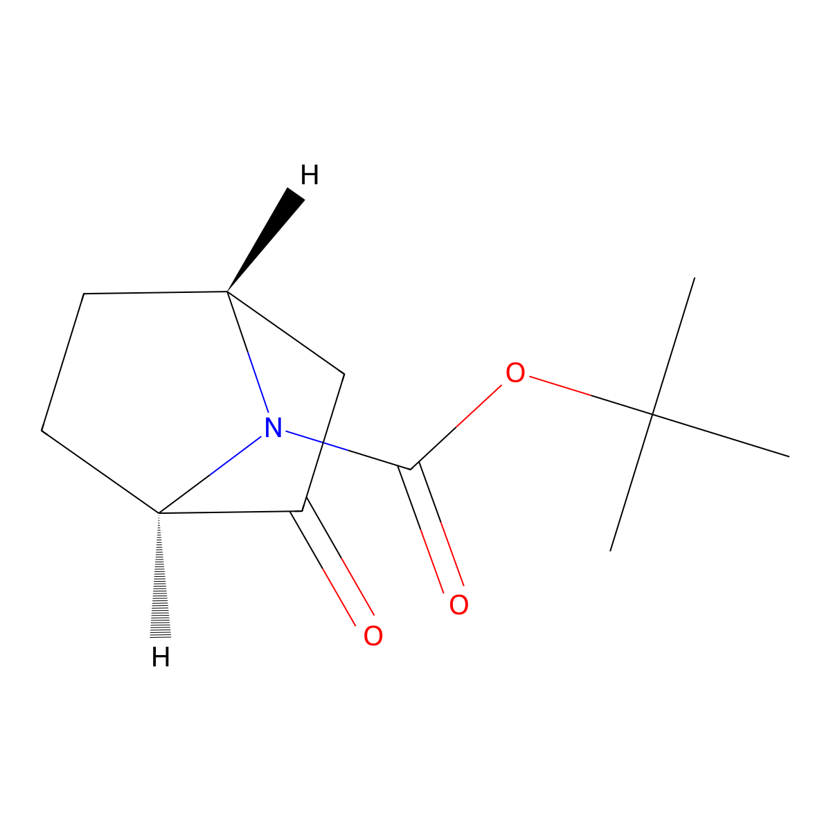 rel-tert-butyl (1R,4R)-2-oxo-7-azabicyclo[2.2.1]heptane-7-carboxylate molecular structure, CAS 2172051-09-9