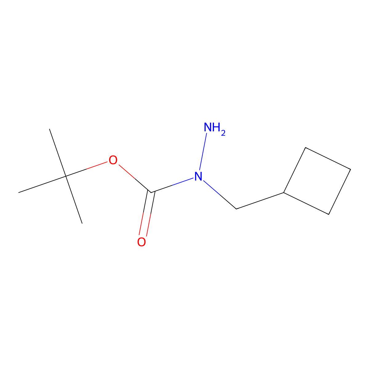 N-(cyclobutylmethyl)(tert-butoxy)carbohydrazide molecular structure, CAS 2172455-83-1