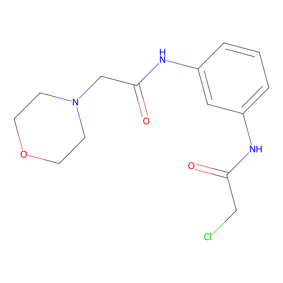 2-Chloro-N-{3-[(morpholin-4-ylacetyl)amino]phenyl}acetamide molecular structure, CAS 2173136-62-2