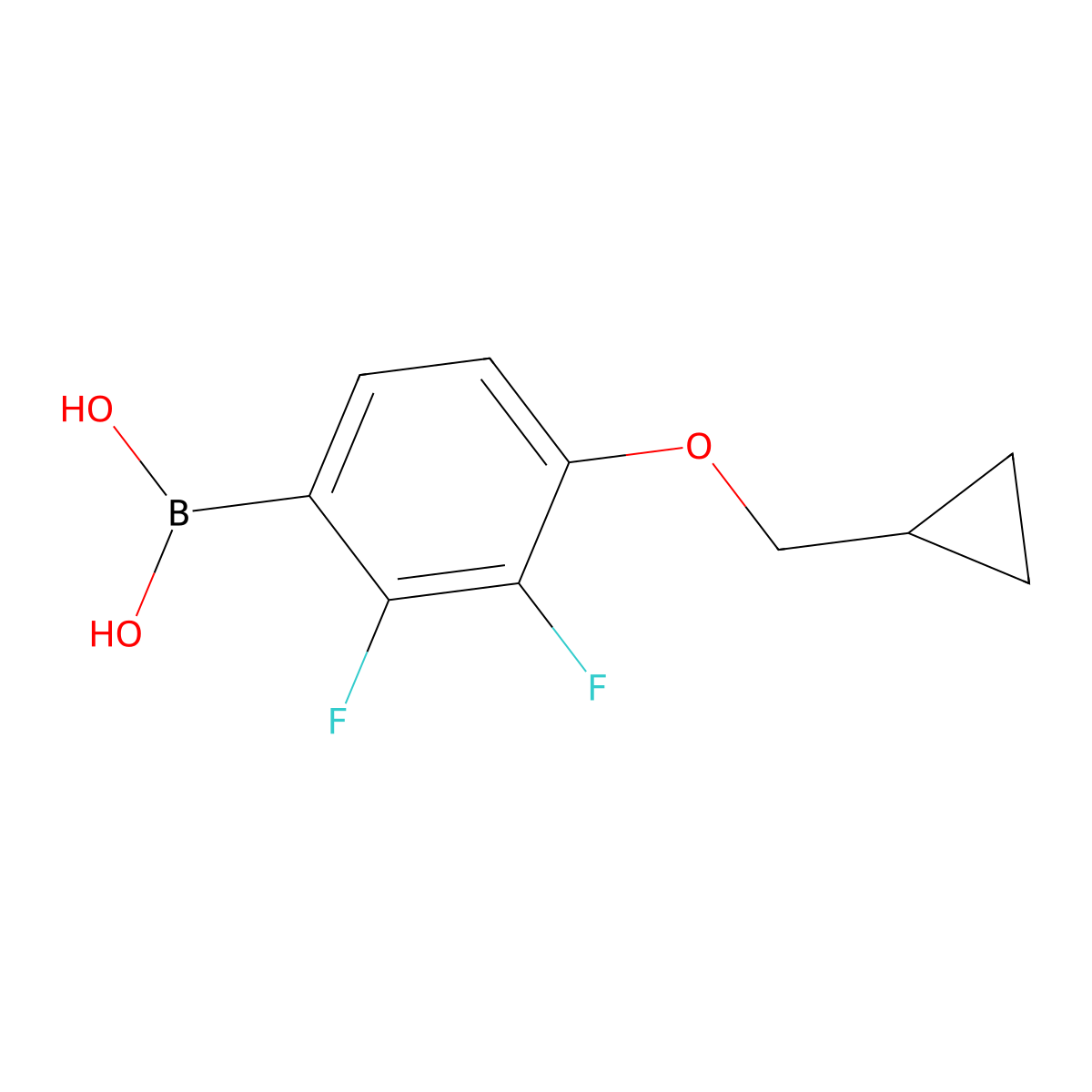 (4-(Cyclopropylmethoxy)-2,3-difluorophenyl)boronic acid molecular structure, CAS 2173177-02-9