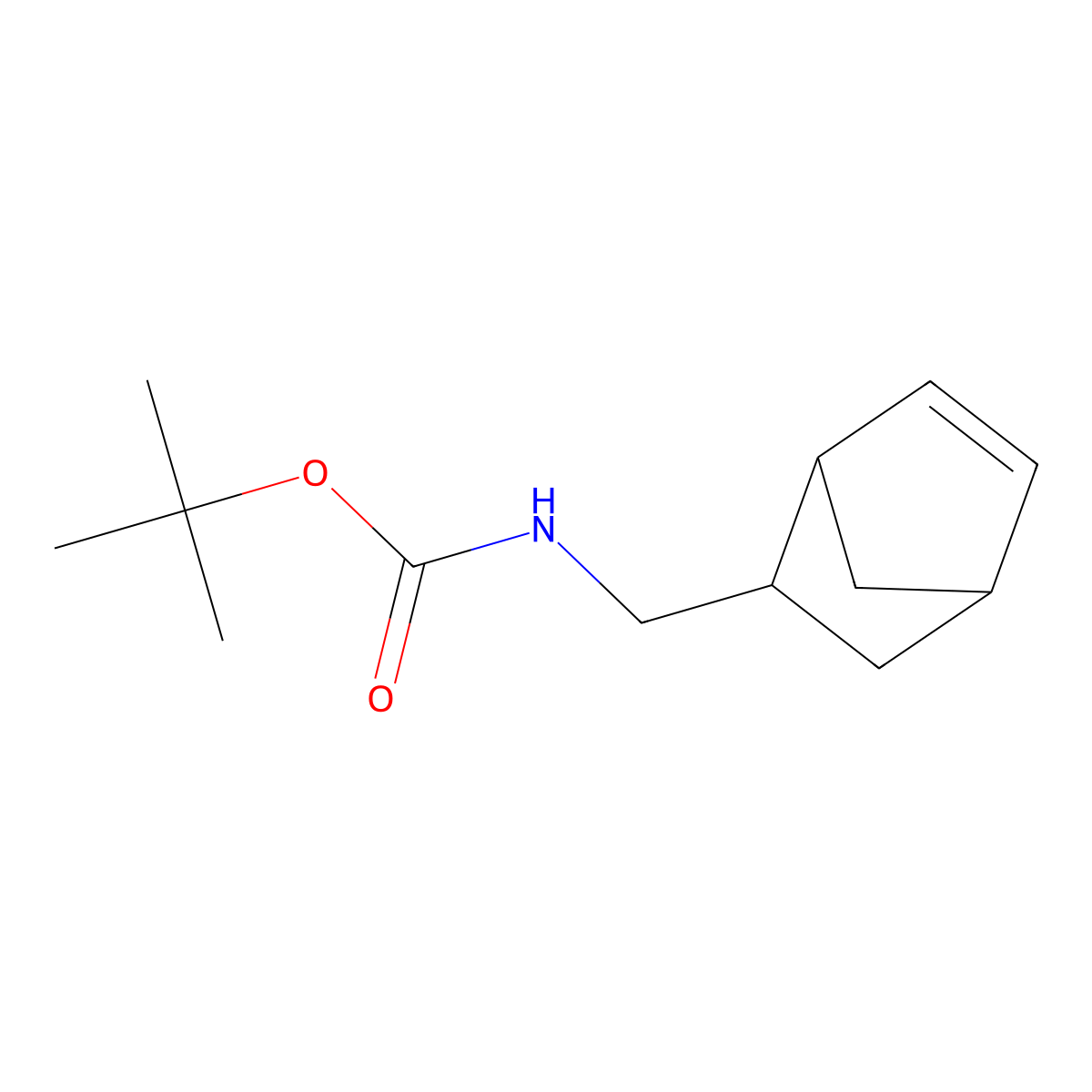 tert-butyl N-({bicyclo[2.2.1]hept-5-en-2-yl}methyl)carbamate molecular structure, CAS 2173566-88-4