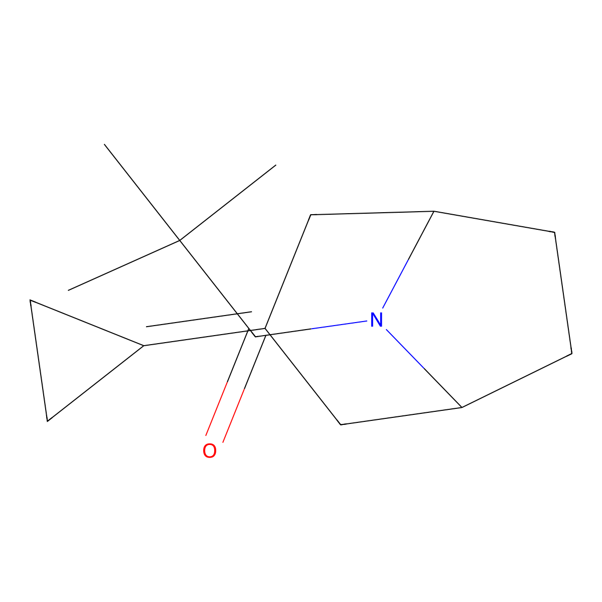 1-{3-Cyclopropylidene-8-azabicyclo[3.2.1]octan-8-yl}-2,2-dimethylpropan-1-one molecular structure, CAS 2175978-80-8