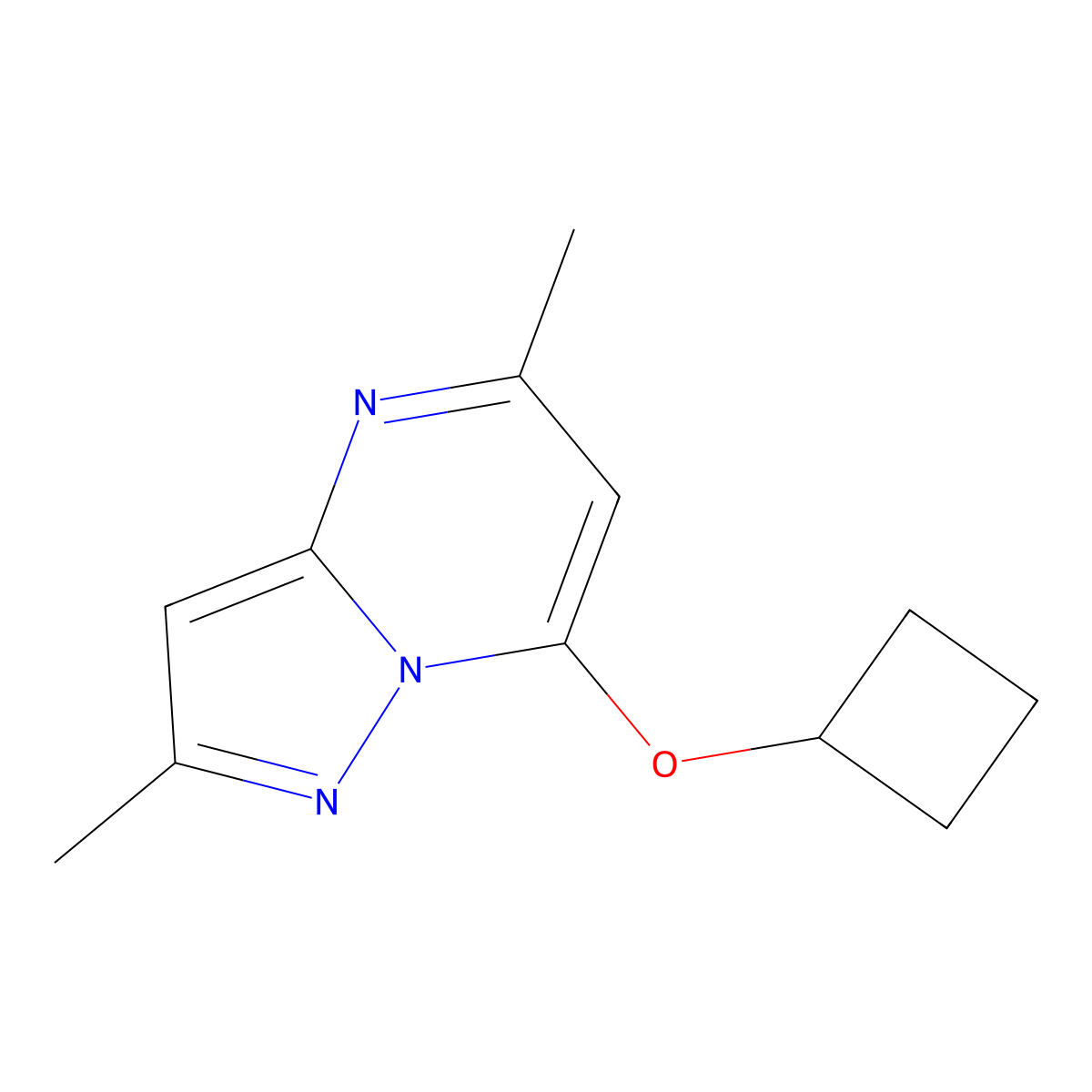 7-Cyclobutoxy-2,5-dimethylpyrazolo[1,5-a]pyrimidine molecular structure, CAS 2175979-02-7