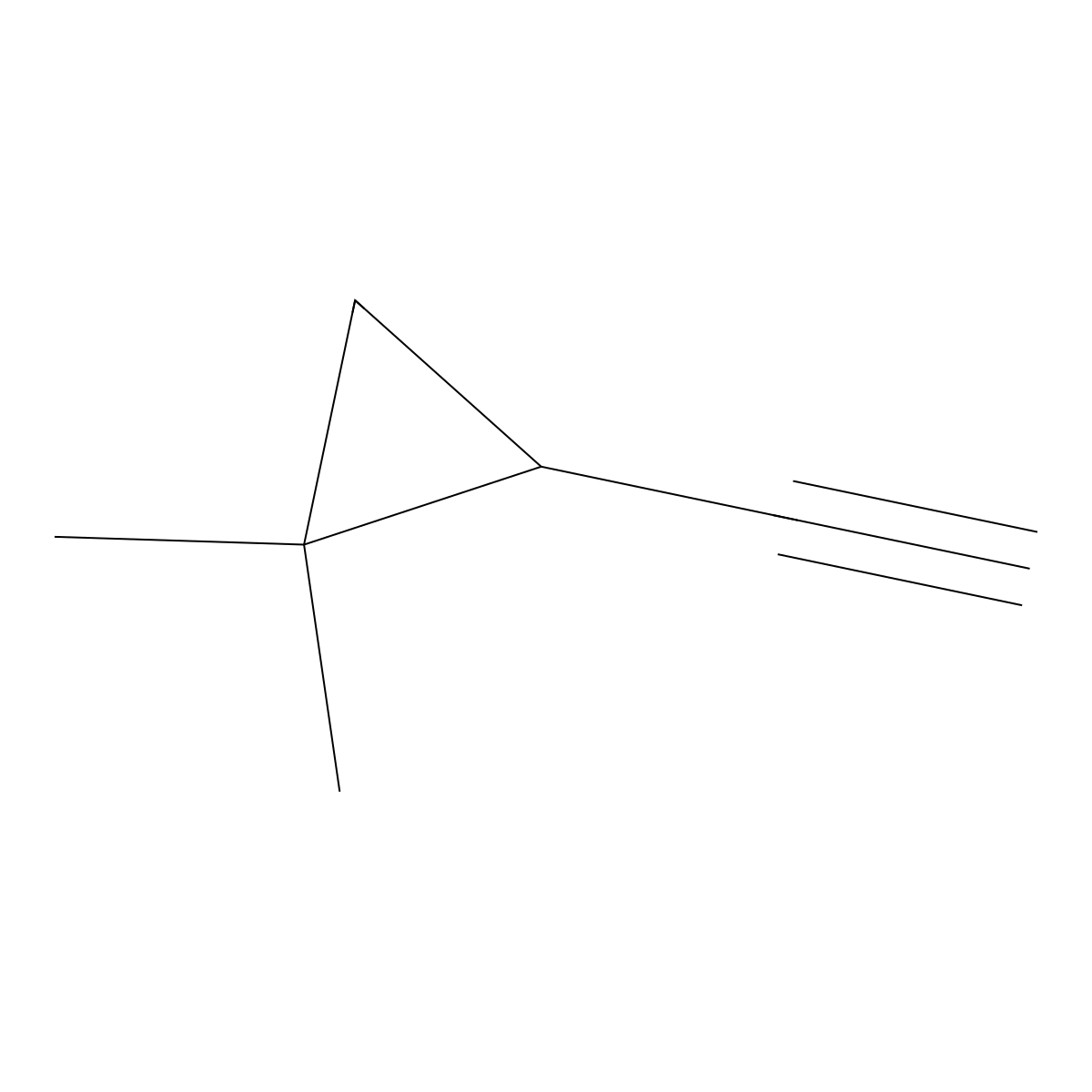 2-Ethynyl-1,1-dimethylcyclopropane molecular structure, CAS 21777-88-8