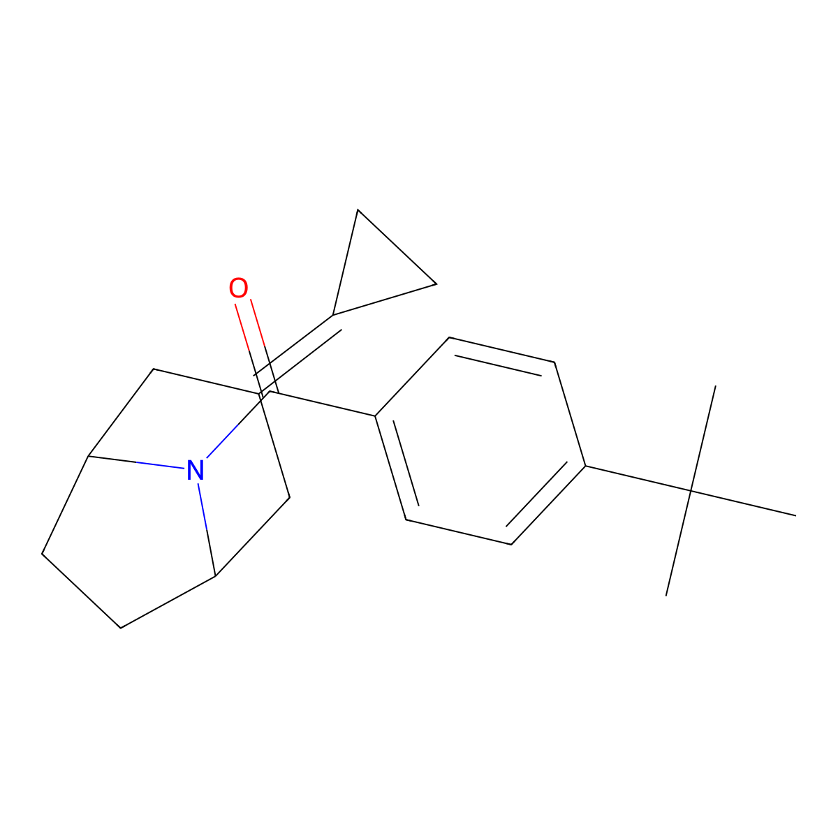 8-(4-Tert-butylbenzoyl)-3-cyclopropylidene-8-azabicyclo[3.2.1]octane molecular structure, CAS 2191266-48-3