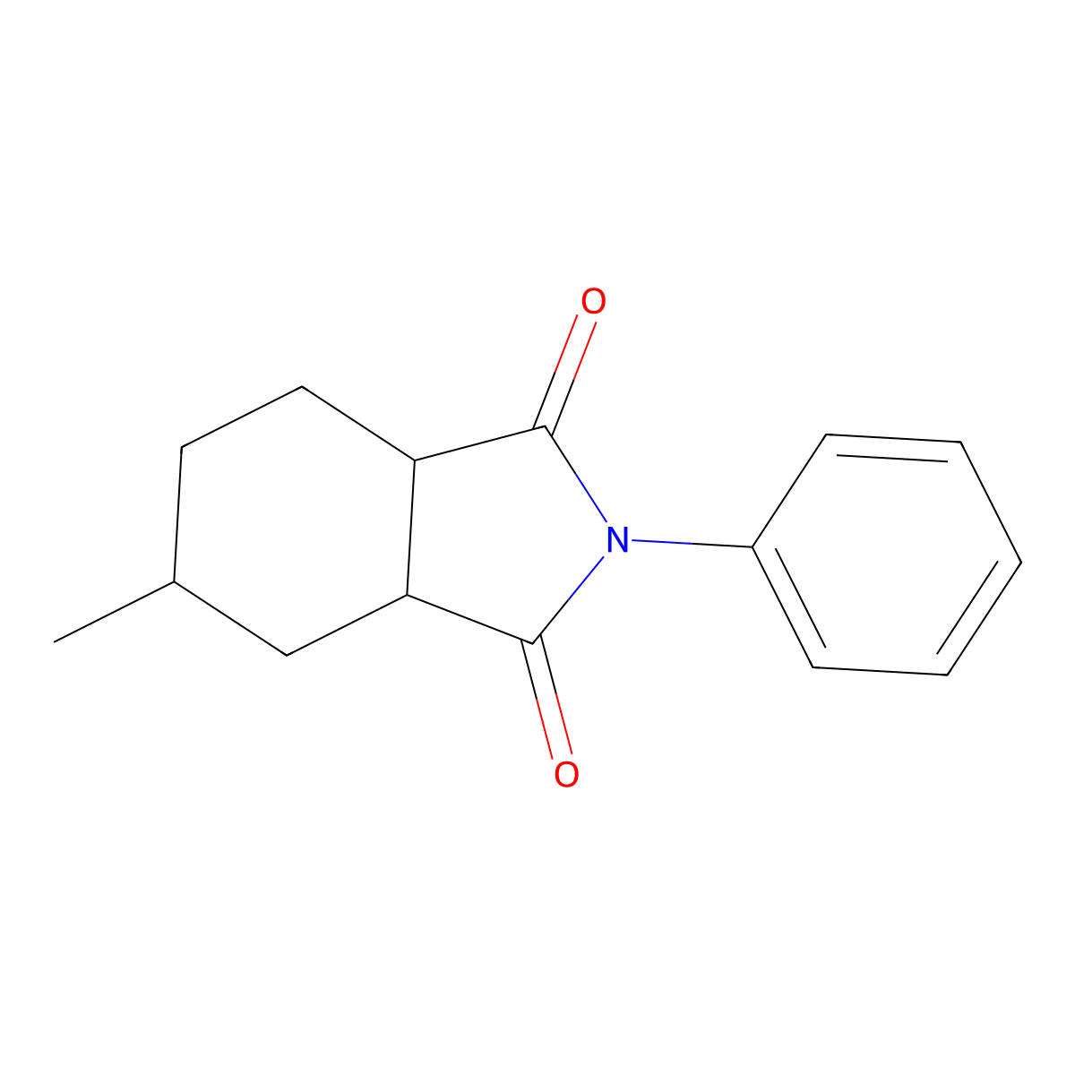 5-methyl-2-phenylhexahydro-1H-isoindole-1,3(2H)-dione molecular structure, CAS 219554-08-2