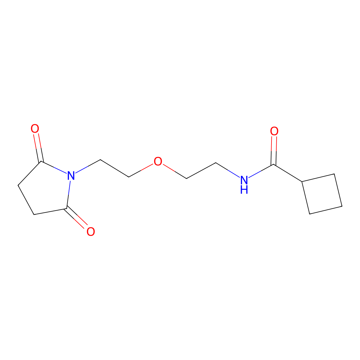 N-{2-[2-(2,5-dioxopyrrolidin-1-yl)ethoxy]ethyl}cyclobutanecarboxamide molecular structure, CAS 2195939-69-4