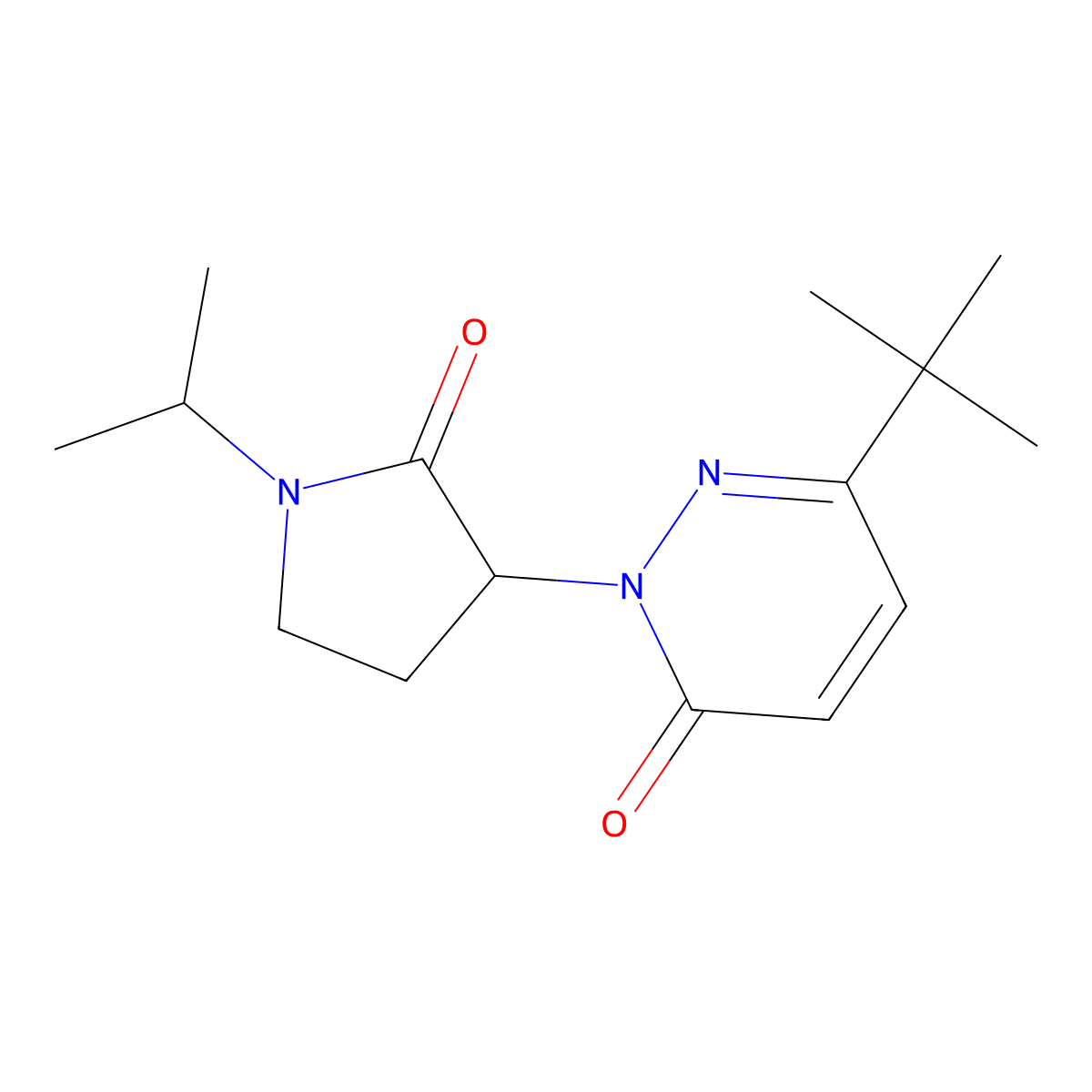 6-Tert-butyl-2-[2-oxo-1-(propan-2-yl)pyrrolidin-3-yl]-2,3-dihydropyridazin-3-one molecular structure, CAS 2197453-31-7