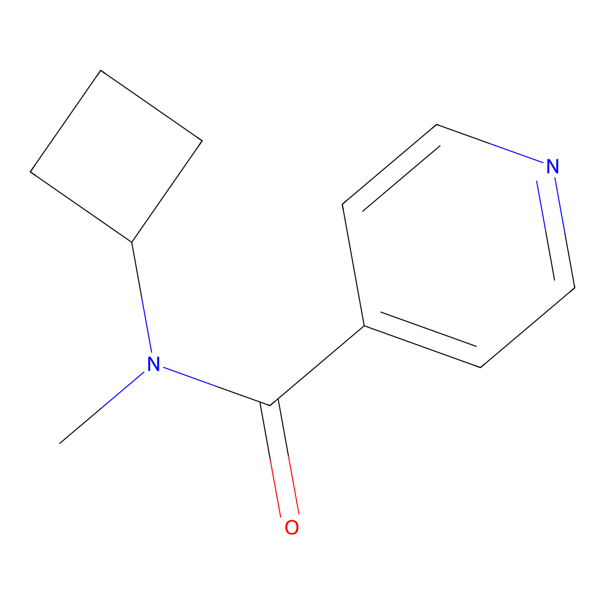 N-cyclobutyl-N-methylpyridine-4-carboxamide molecular structure, CAS 2198163-75-4