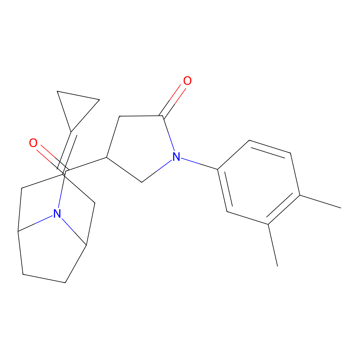 4-{3-Cyclopropylidene-8-azabicyclo[3.2.1]octane-8-carbonyl}-1-(3,4-dimethylphenyl)pyrrolidin-2-one molecular structure, CAS 2210144-17-3