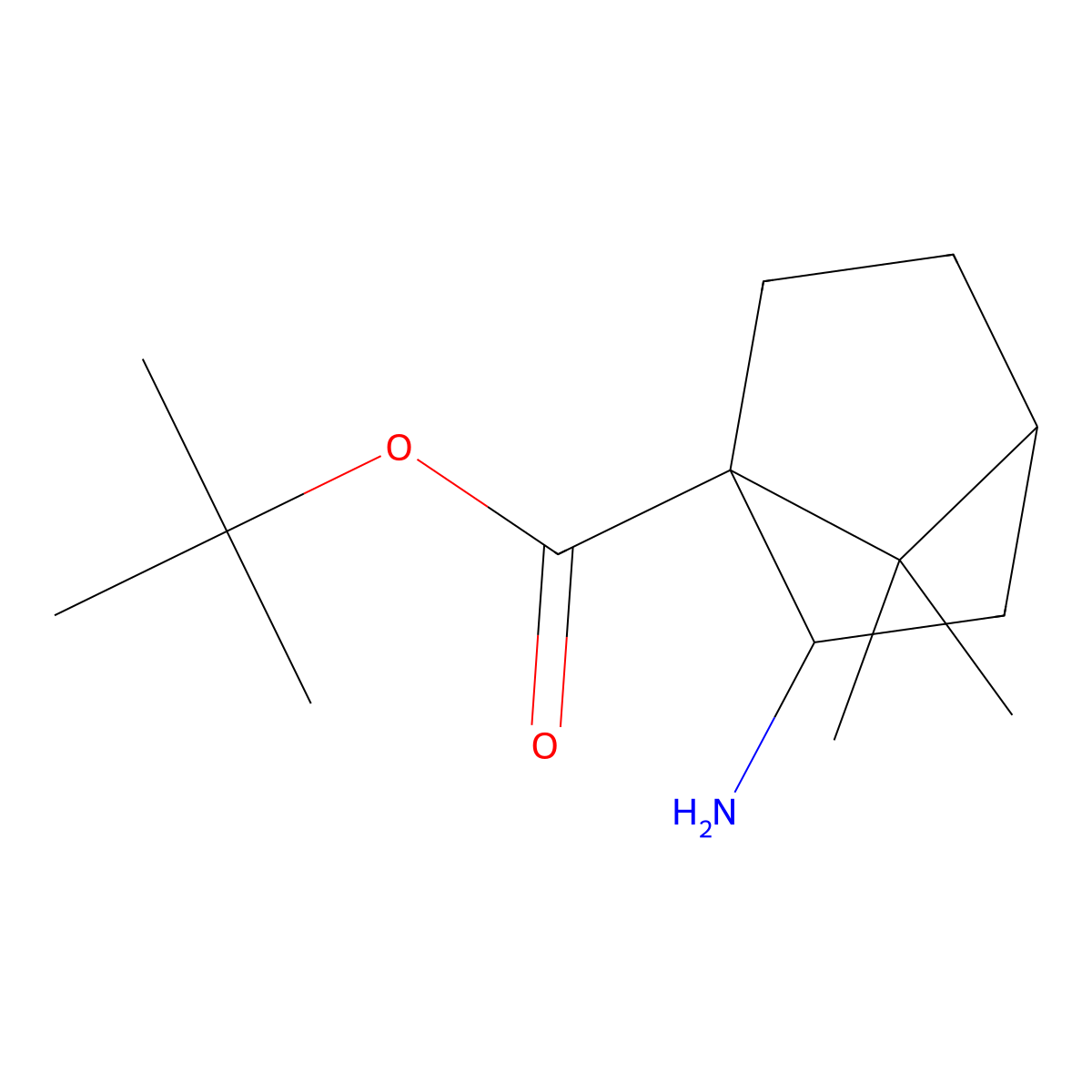 Tert-butyl 2-amino-7,7-dimethylbicyclo[2.2.1]heptane-1-carboxylate molecular structure, CAS 2219368-91-7