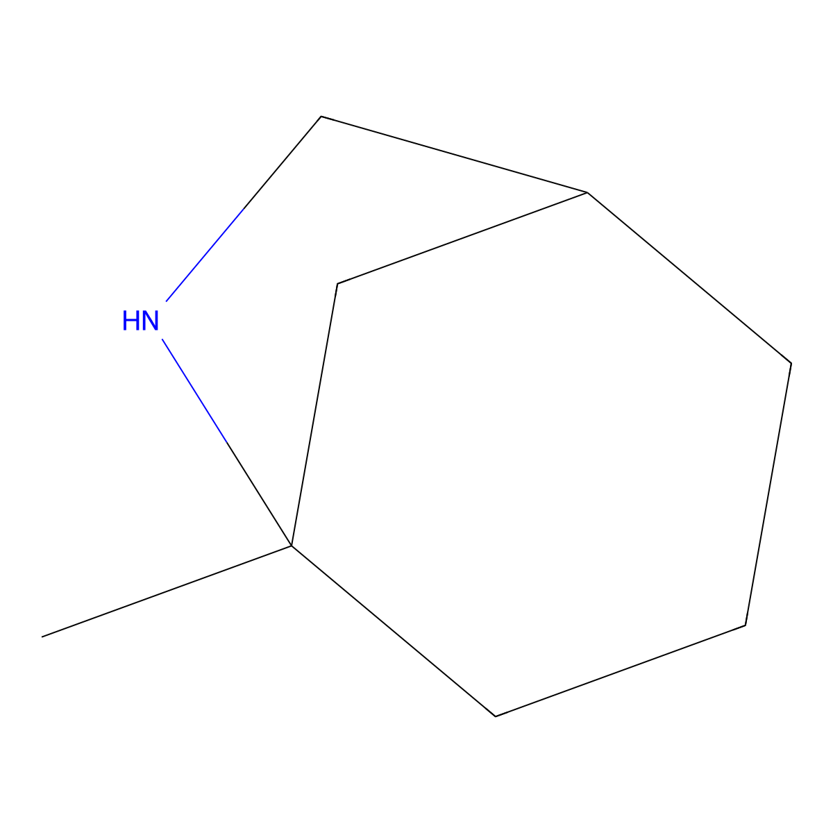 rac-(1R,5S)-5-methyl-6-azabicyclo[3.2.1]octane molecular structure, CAS 2219372-11-7