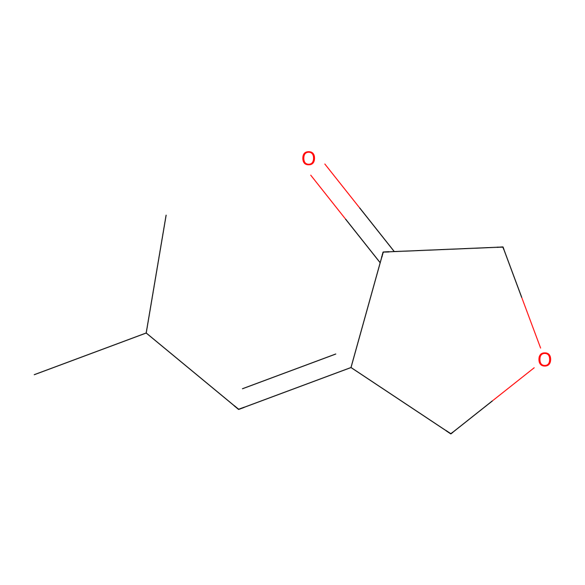 (4Z)-4-(2-methylpropylidene)oxolan-3-one molecular structure, CAS 2220111-44-2