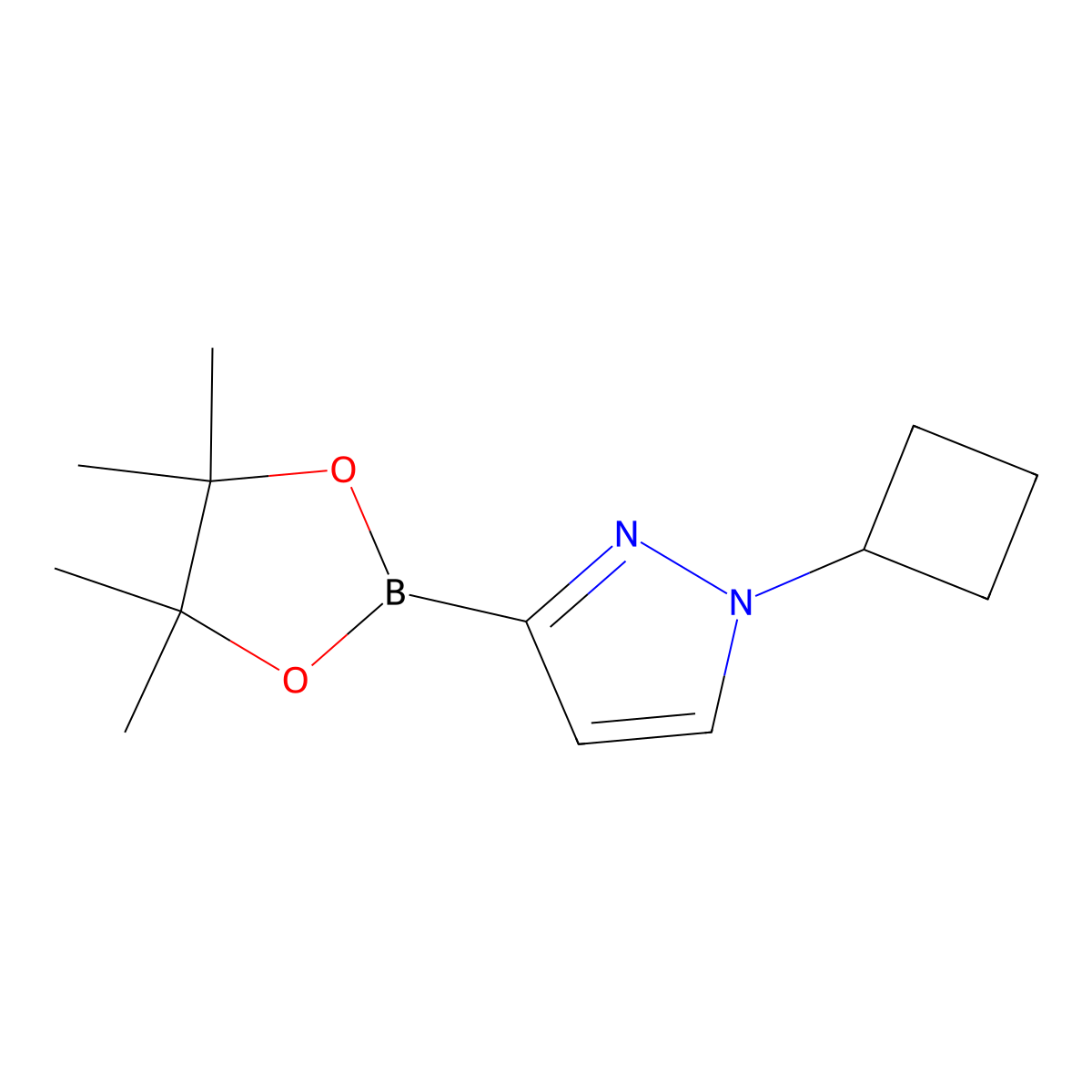 1-Cyclobutyl-3-(4,4,5,5-tetramethyl-1,3,2-dioxaborolan-2-yl)-1H-pyrazole molecular structure, CAS 2223012-59-5