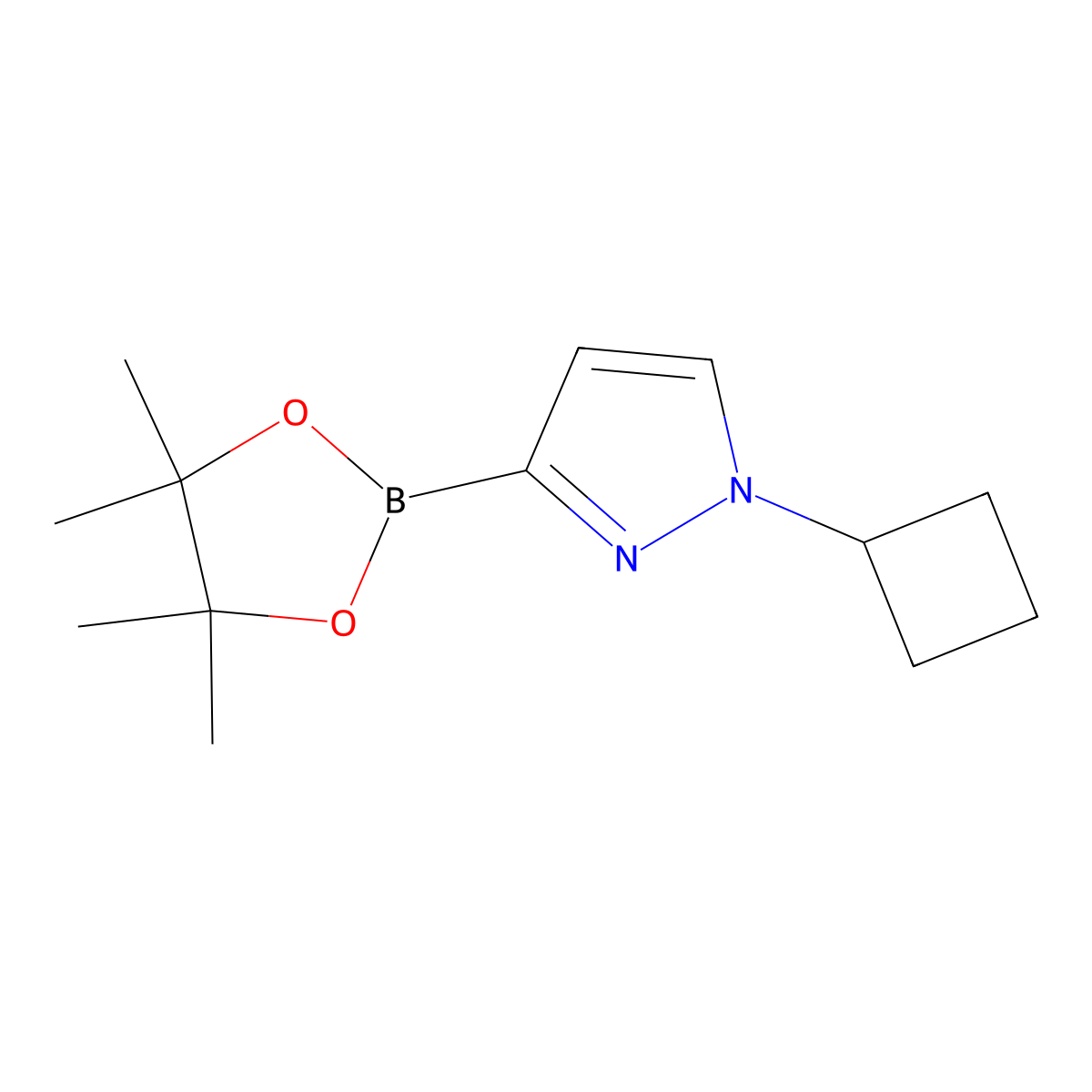 1-Cyclobutyl-3-(4,4,5,5-tetramethyl-1,3,2-dioxaborolan-2-yl)-1H-pyrazole molecular structure, CAS 2223012-59-5