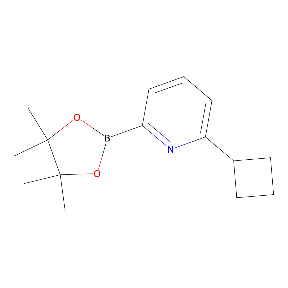 2-Cyclobutyl-6-(4,4,5,5-tetramethyl-1,3,2-dioxaborolan-2-yl)pyridine molecular structure, CAS 2223027-52-7
