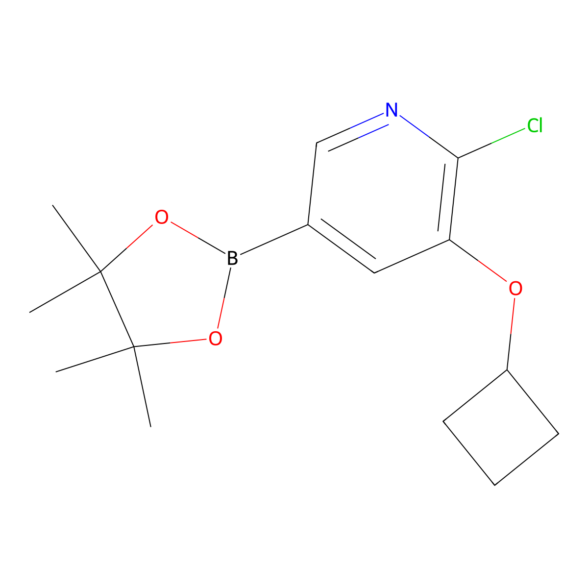 2-Chloro-3-cyclobutoxy-5-(tetramethyl-1,3,2-dioxaborolan-2-yl)pyridine molecular structure, CAS 2223030-57-5