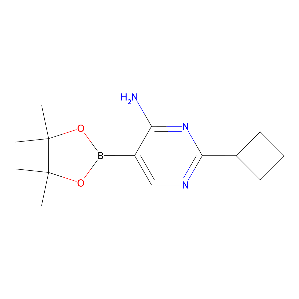4-Amino-2-(cyclobutyll)pyrimidine-5-boronic acid pinacol ester molecular structure, CAS 2223031-18-1