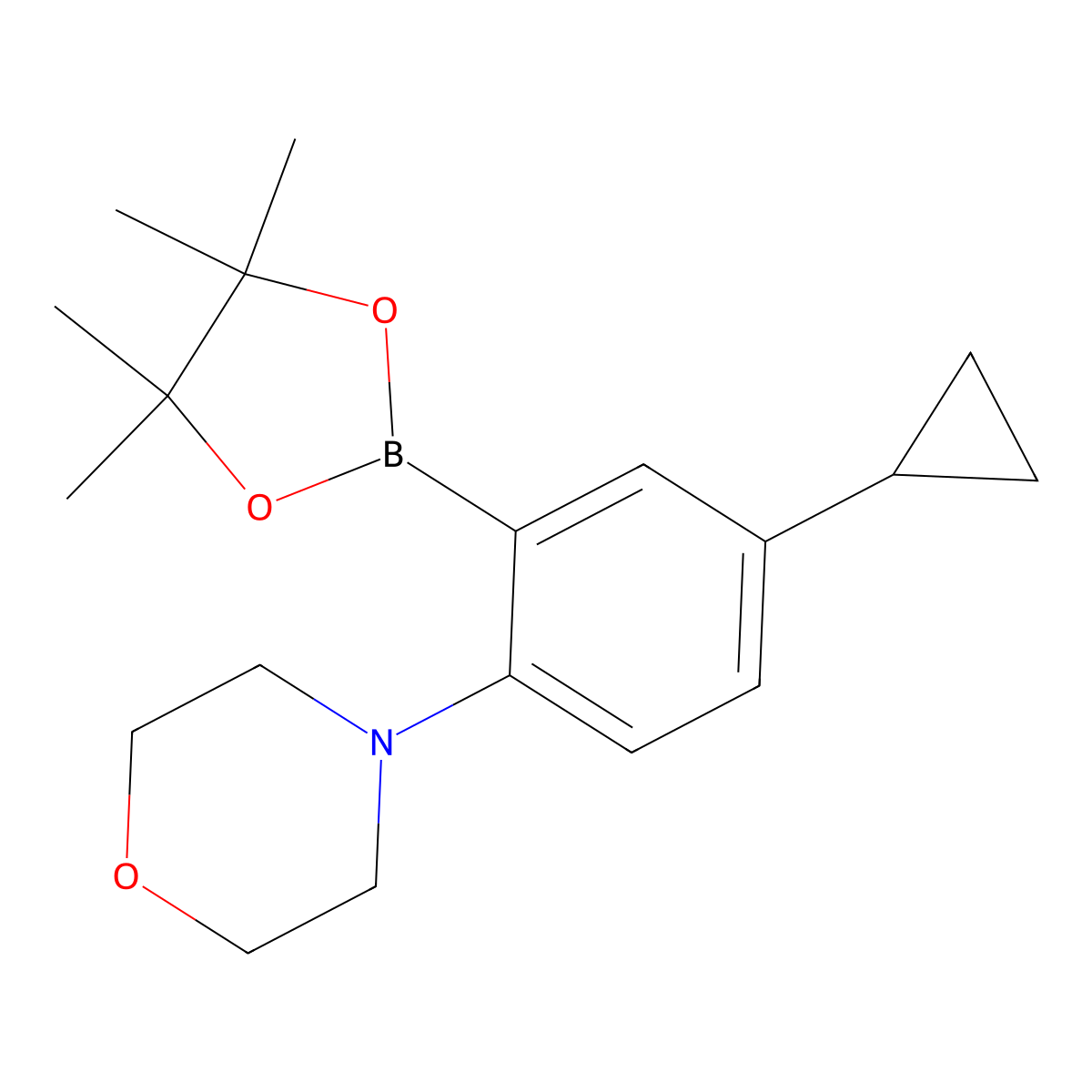 4-(4-Cyclopropyl-2-(4,4,5,5-tetramethyl-1,3,2-dioxaborolan-2-yl)phenyl)morpholine molecular structure, CAS 2223032-84-4
