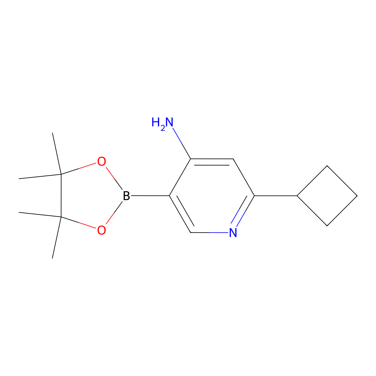 4-Amino-6-(cyclobutyl)pyridine-3-boronic acid pinacol ester molecular structure, CAS 2223042-77-9