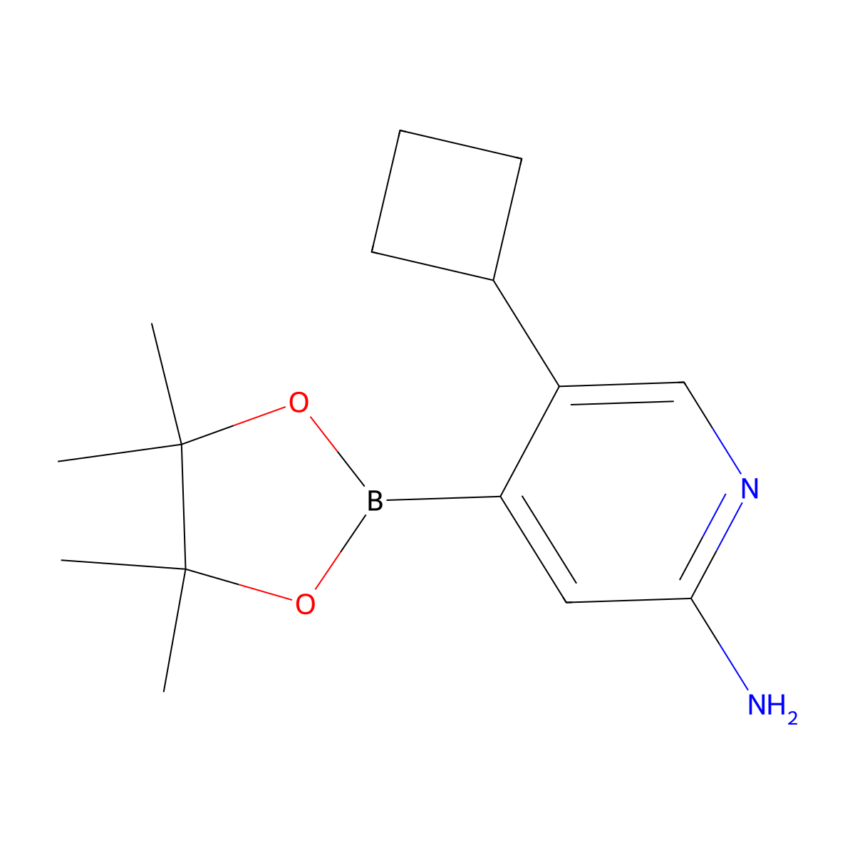 2-Amino-5-cyclobutylpyridine-4-boronic acid pinacol ester molecular structure, CAS 2223047-16-1