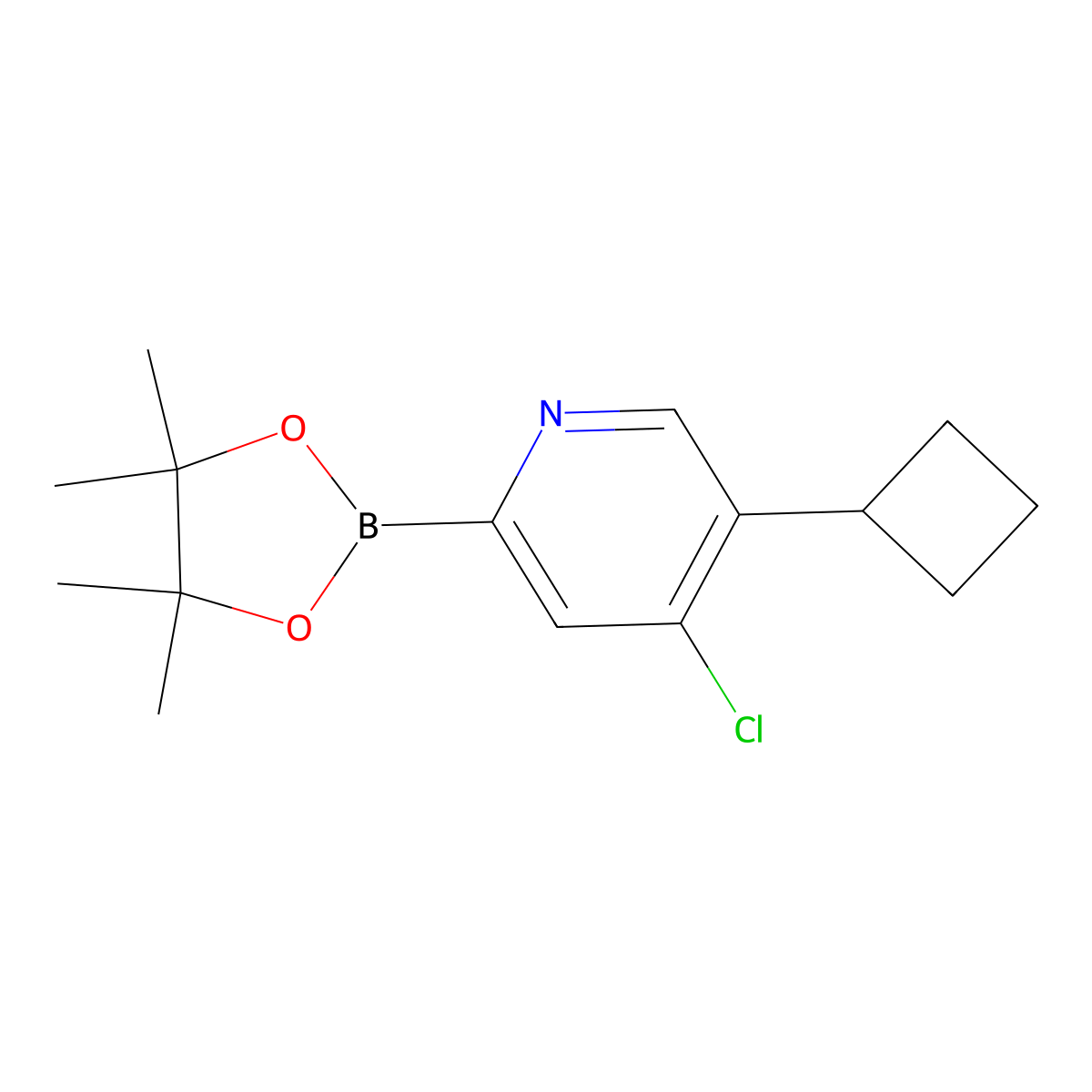 4-Chloro-5-(cyclobutyl)pyridine-2-boronic acid pinacol ester molecular structure, CAS 2223049-49-6