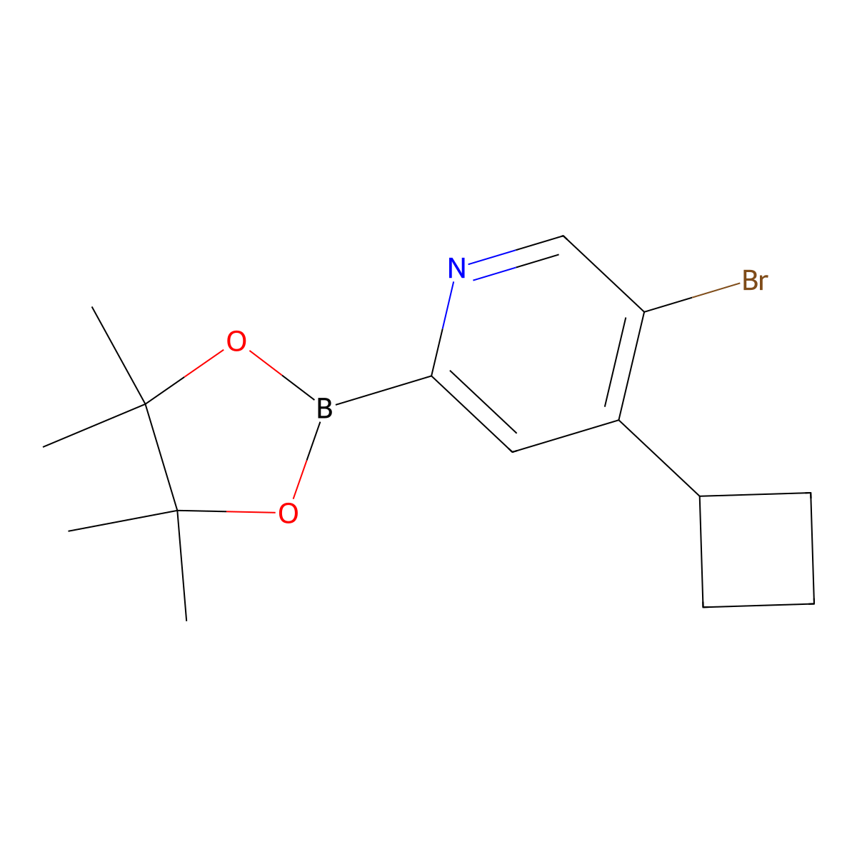 5-Bromo-4-(cyclobutyl)pyridine-2-boronic acid pinacol ester molecular structure, CAS 2223050-27-7