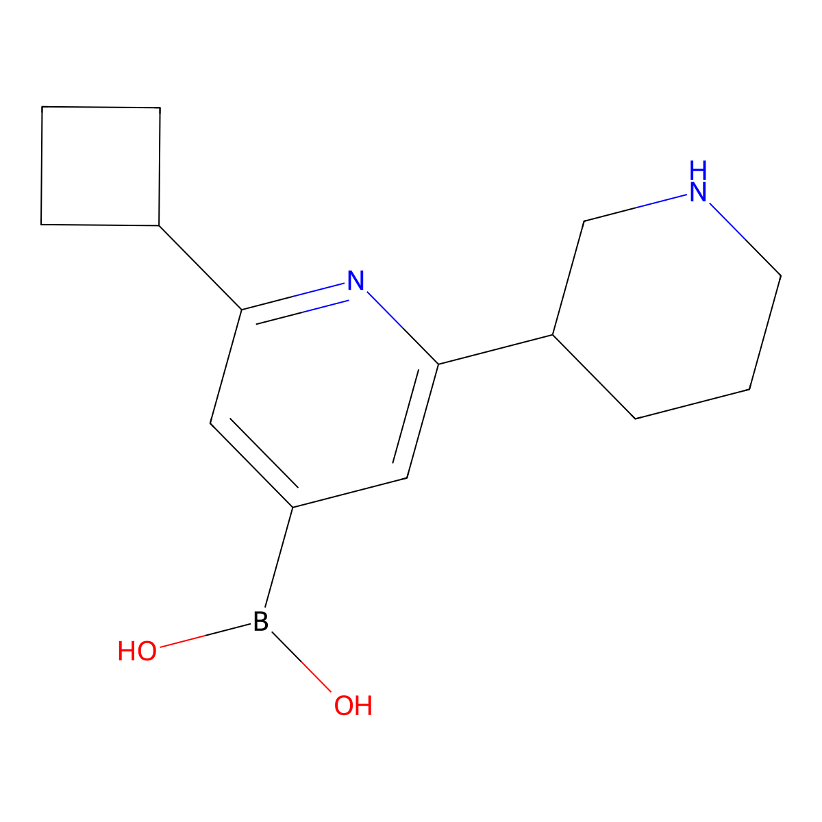 (2-Cyclobutyl-6-(piperidin-3-yl)pyridin-4-yl)boronic acid molecular structure, CAS 2225152-45-2