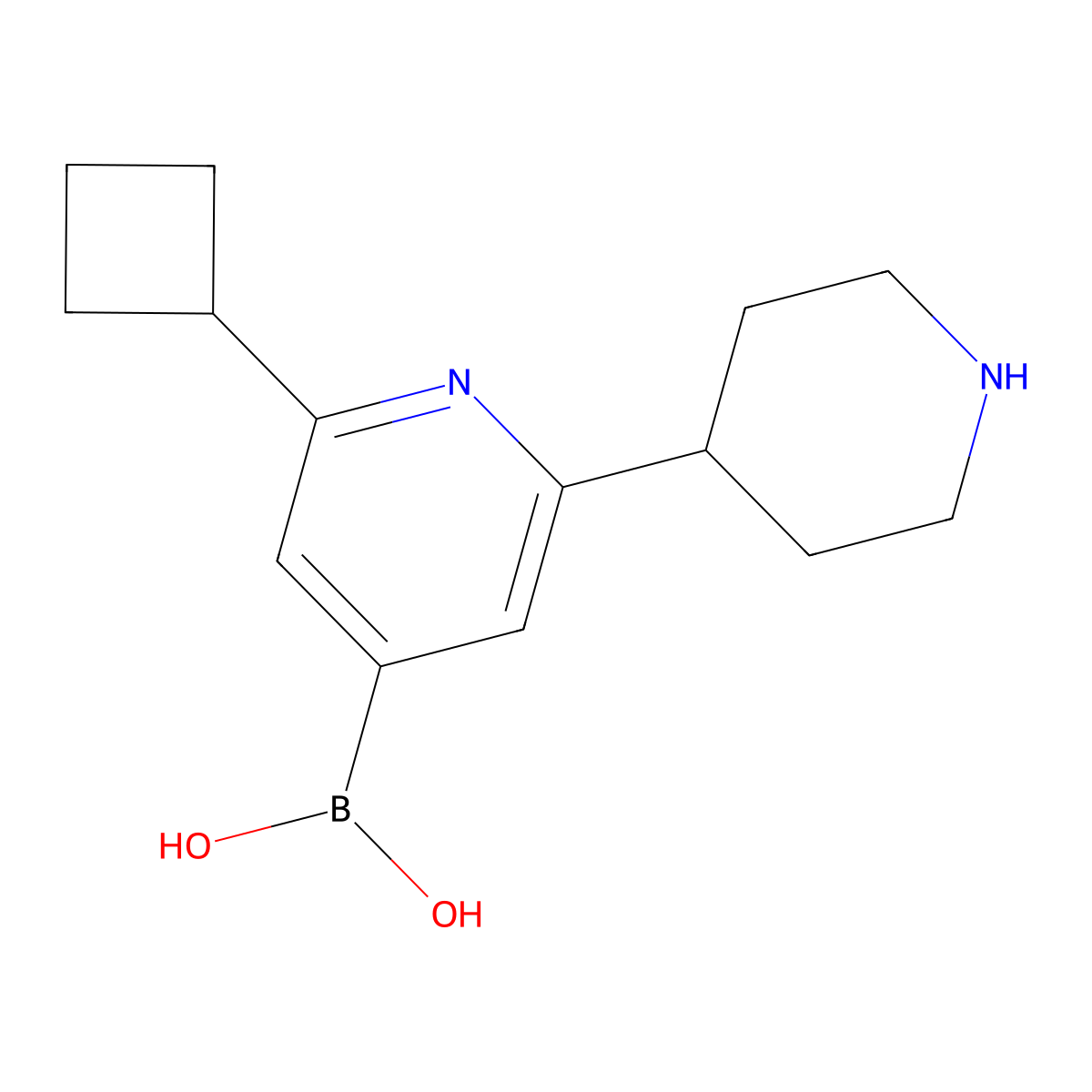 (2-Cyclobutyl-6-(piperidin-4-yl)pyridin-4-yl)boronic acid molecular structure, CAS 2225172-05-2