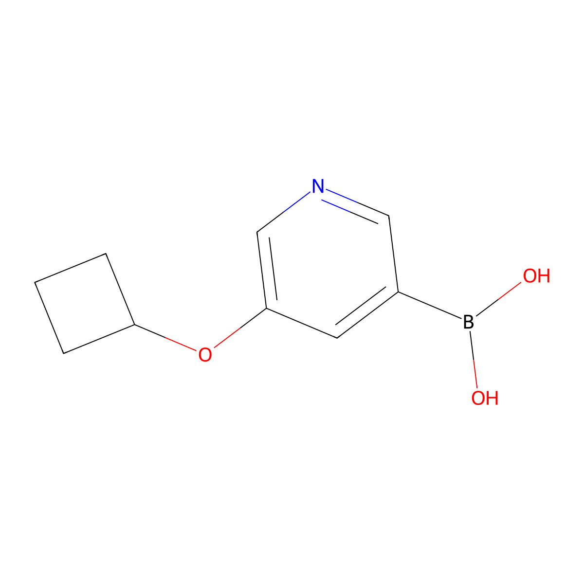 (5-Cyclobutoxypyridin-3-yl)boronic acid molecular structure, CAS 2225173-16-8